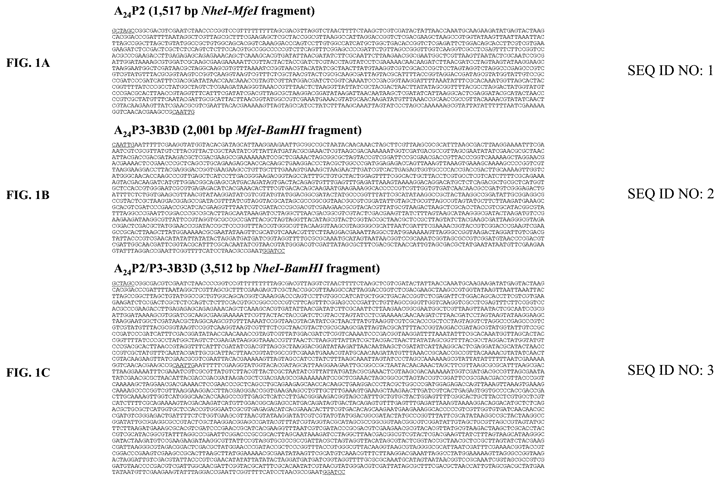 Patent US11793870 — Live attenuated strains of foot and mouth disease modified by deoptimization and uses thereof — Figure 1