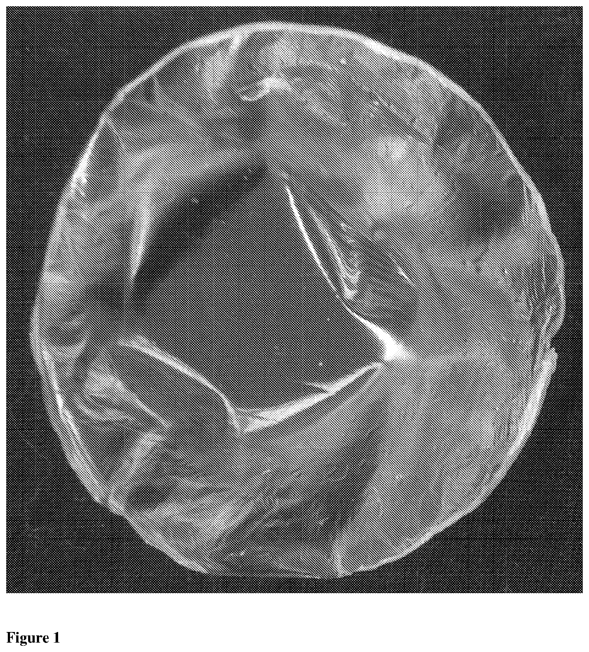 Patent US11793905 — Dressing — Figure 1