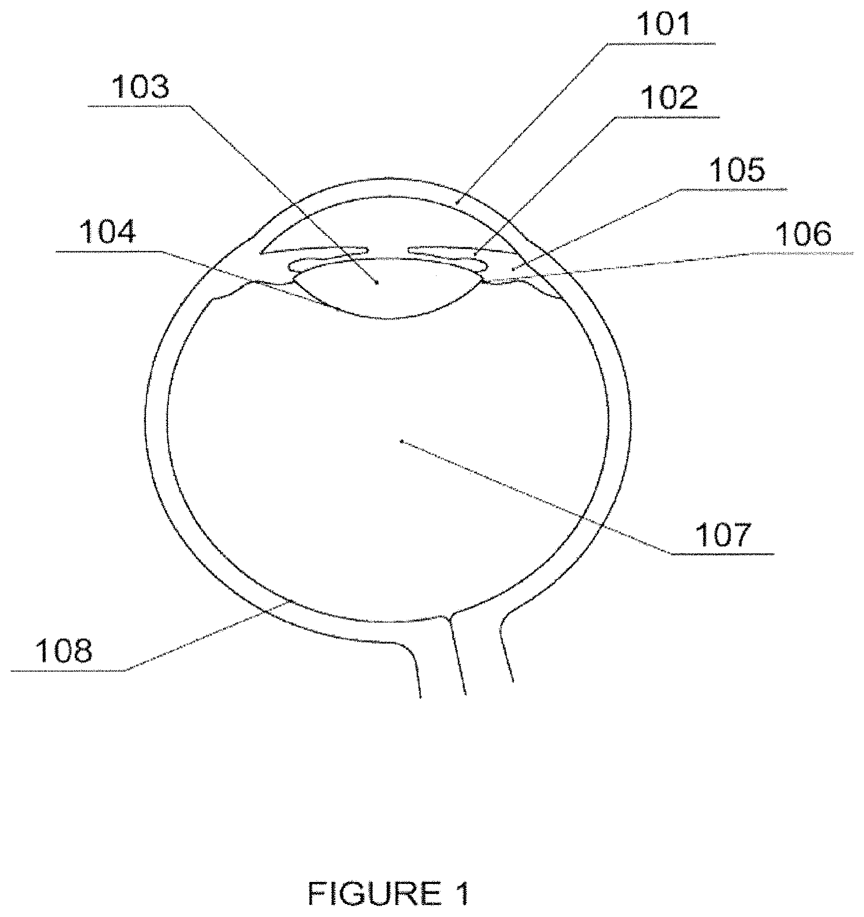 Patent US11793908 — Light-adjustable hydrogel and bioanalogic intraocular lens — Figure 1