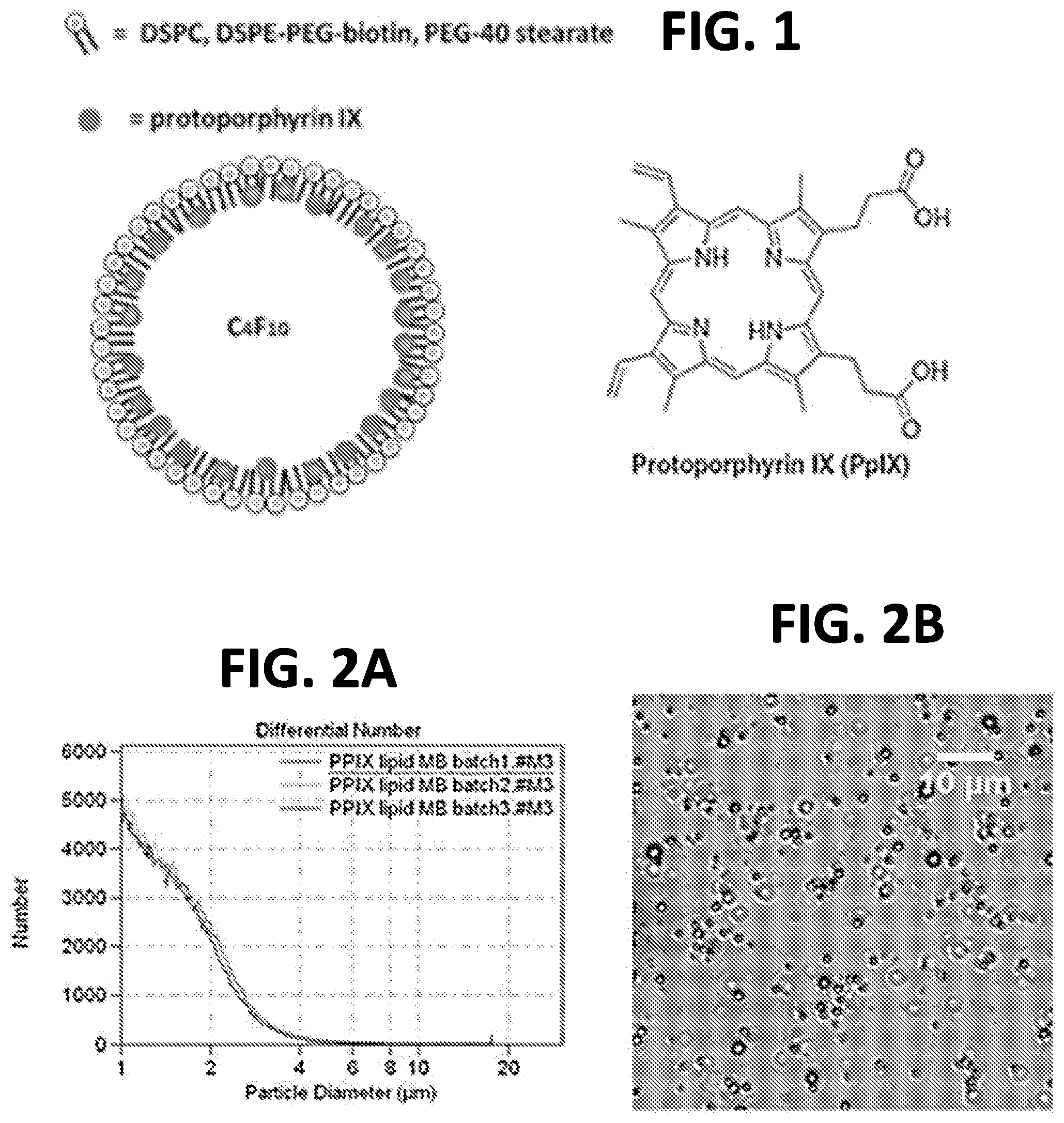 Patent US11793983 — Sonodynamic therapy using microbubbles and pulsed wave ultrasound methods and systems — Figure 1