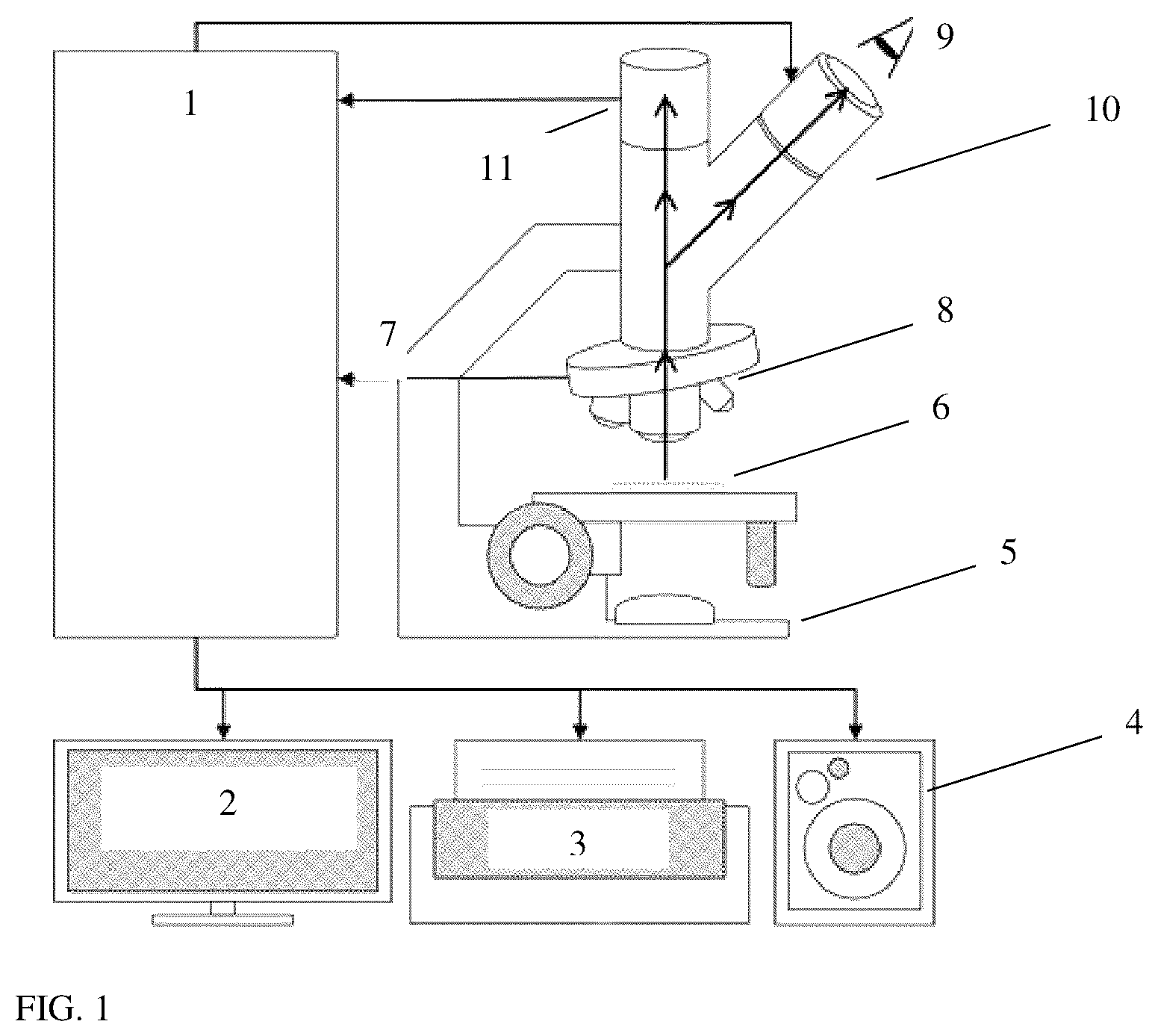 Patent US11810297 — Computer aided diagnosis system for detecting tissue lesion on microscopy images based on multi-resolution feature fusion — Figure 1