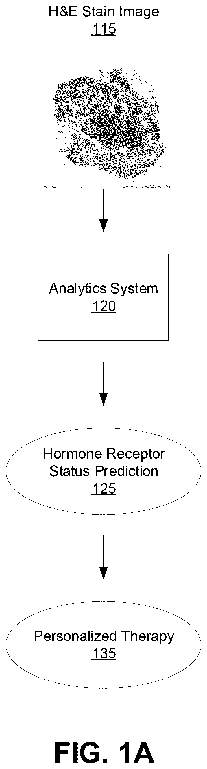 Patent US11810298 — Machine-learned hormone status prediction from image analysis — Figure 1