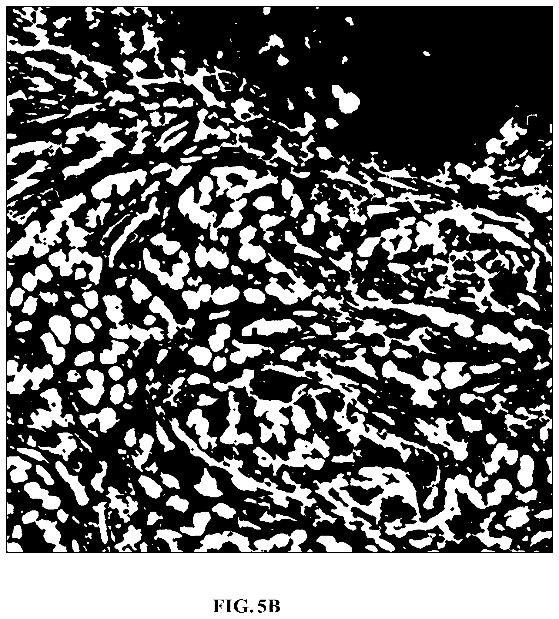 Patent US11810305 Figure 9 – Foreground segmentation and nucleus ranking for scoring dual ISH images