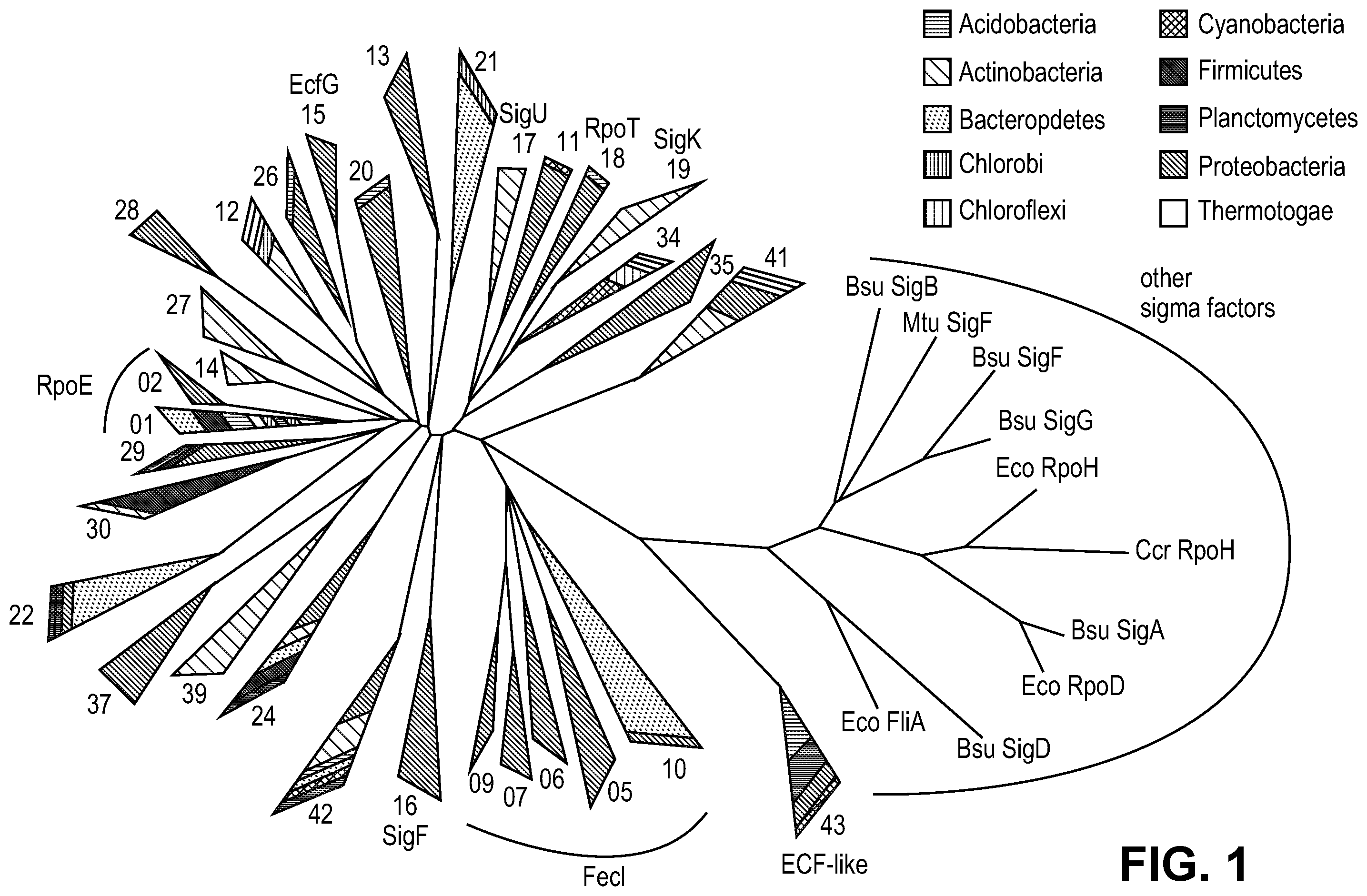 Patent US11810646 Figure 1 – Synthetic biology tools