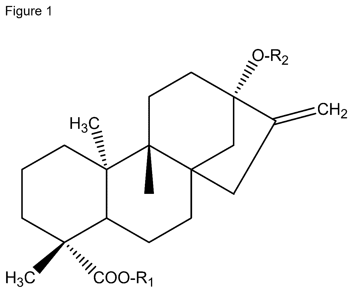Patent US11812767 — Beverage having Reb D and Reb M — Figure 1