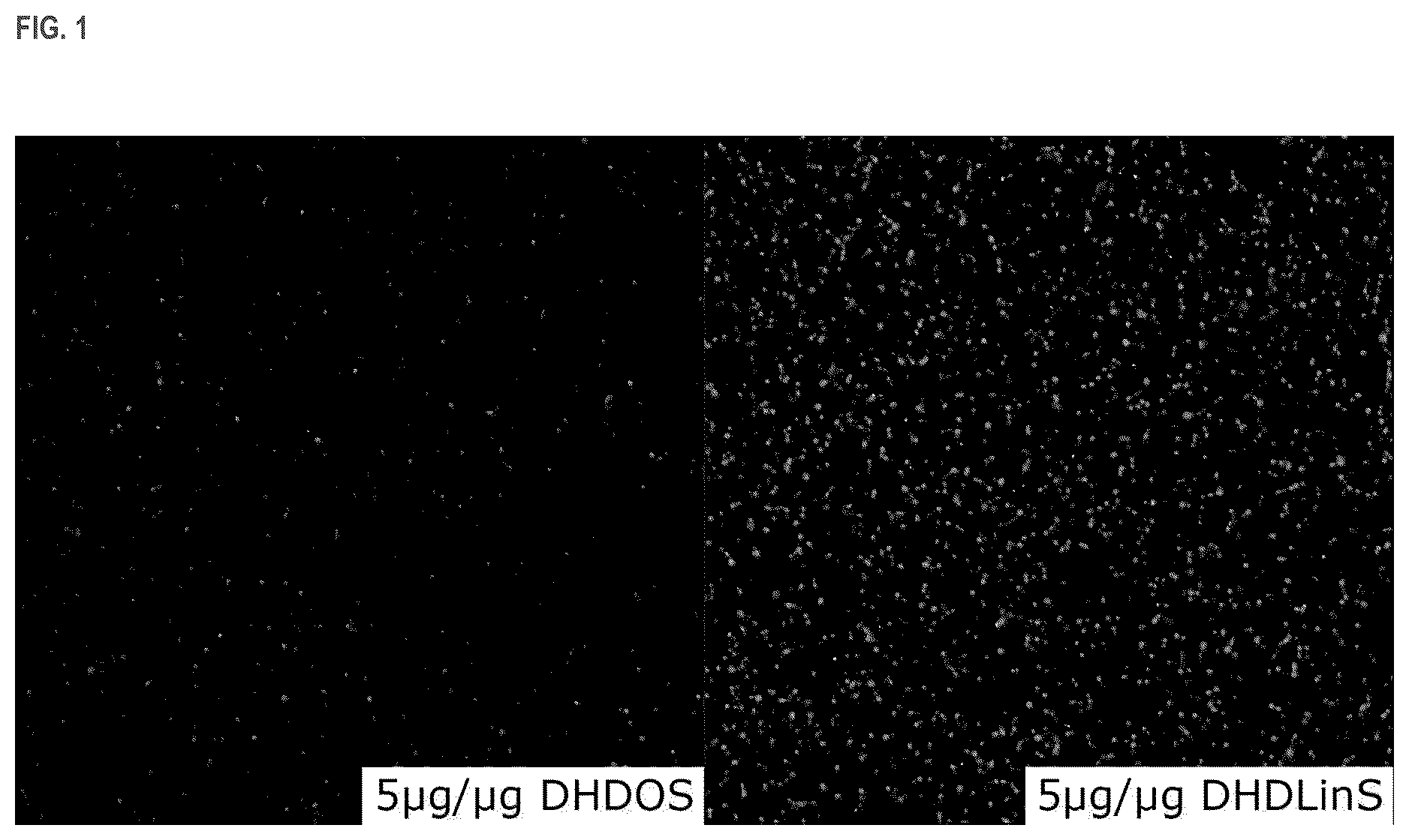 Patent US11814333 — Cationic lipids and transfection methods — Figure 1