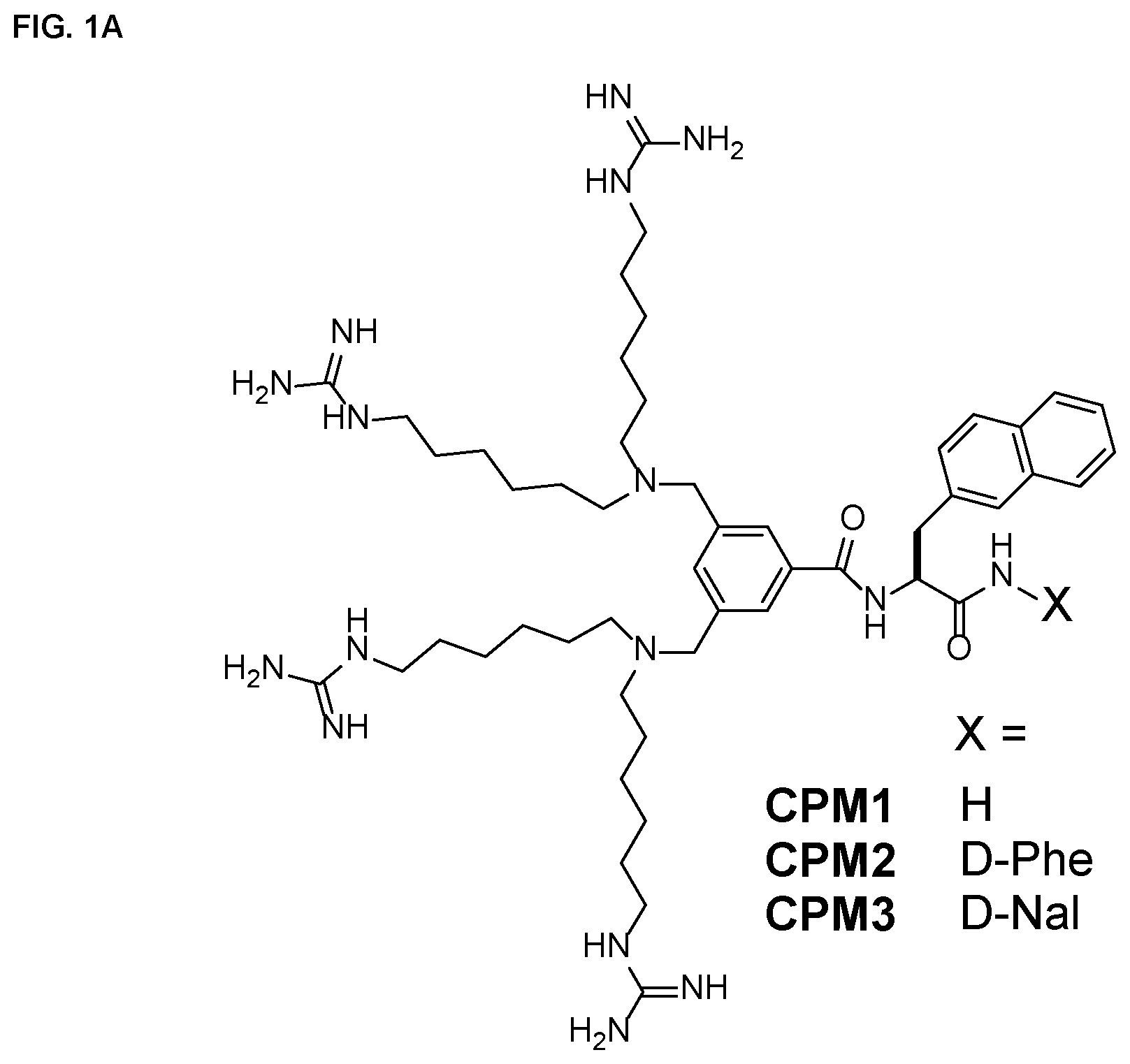 Patent US11814341 — Non-peptidic cell-penetrating motifs — Figure 1