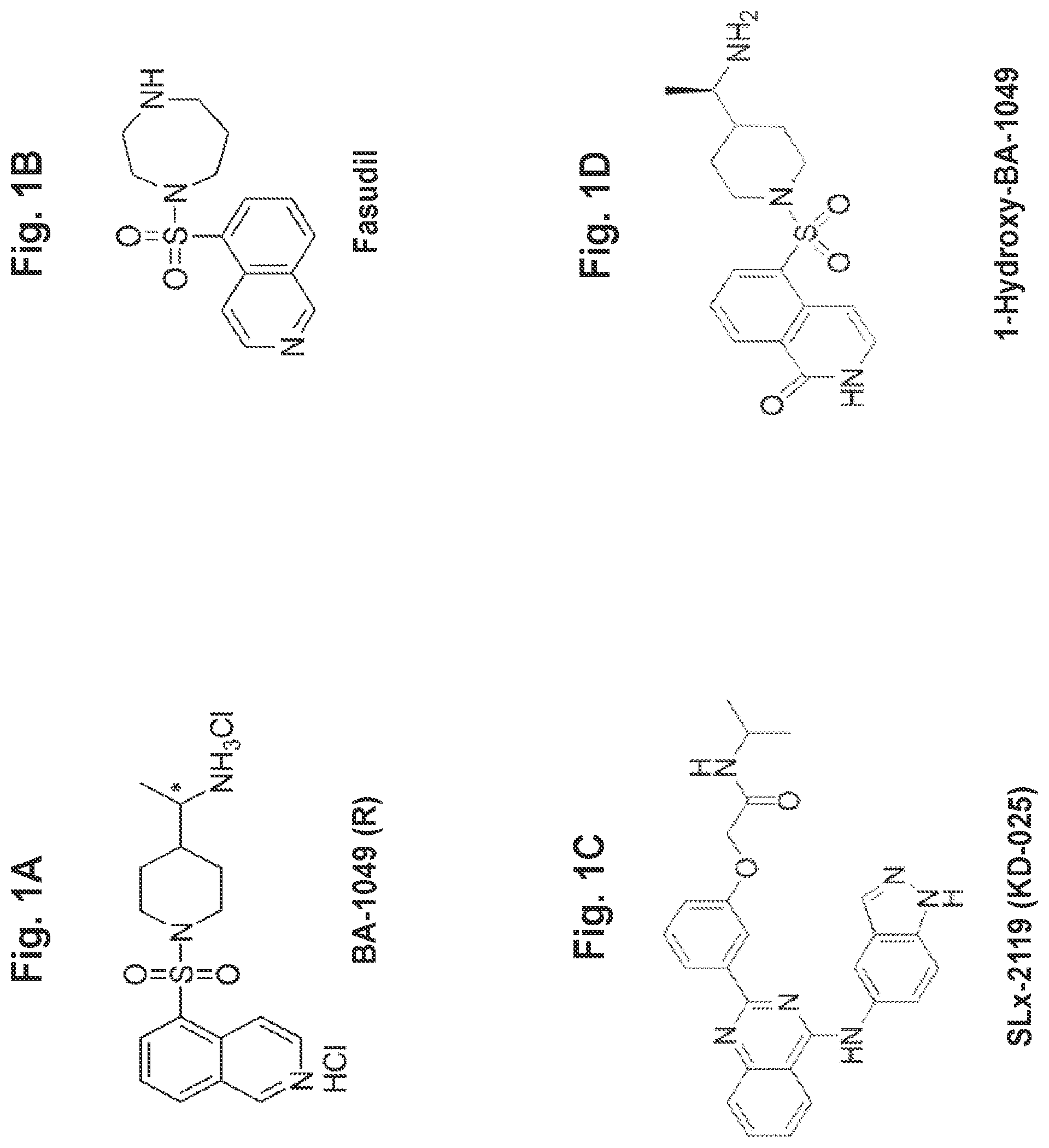 Patent US11814361 — Rho kinase inhibitor BA-1049 (R) and active metabolites thereof — Figure 1