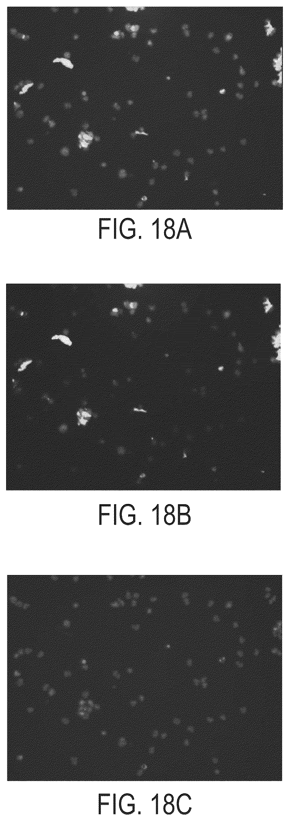 Patent US11814414 Figure 19 – Synthetic peptide compounds and methods of use
