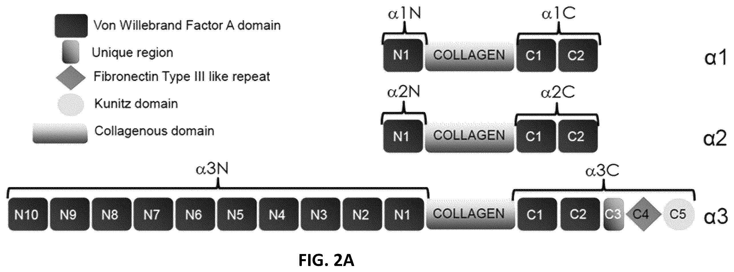 Patent US11814422 Figure 5 – Polypeptides and medical uses thereof