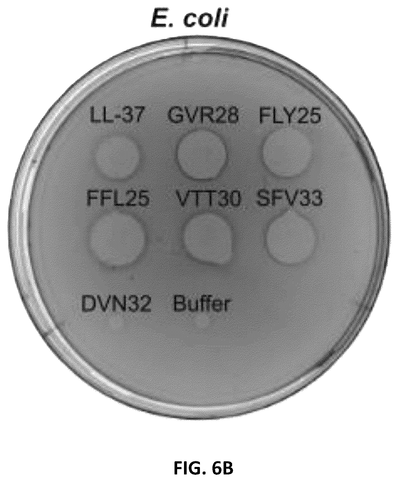 Patent US11814422 Figure 13 – Polypeptides and medical uses thereof