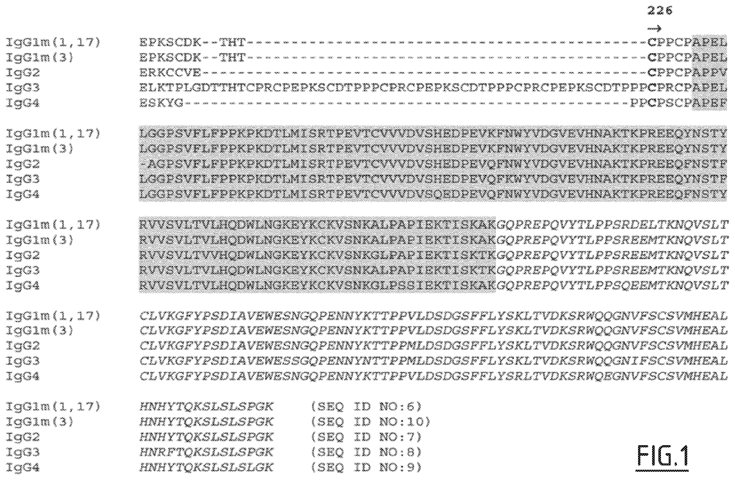 Patent US11814438 — Fc mutants with improved functional activity — Figure 1