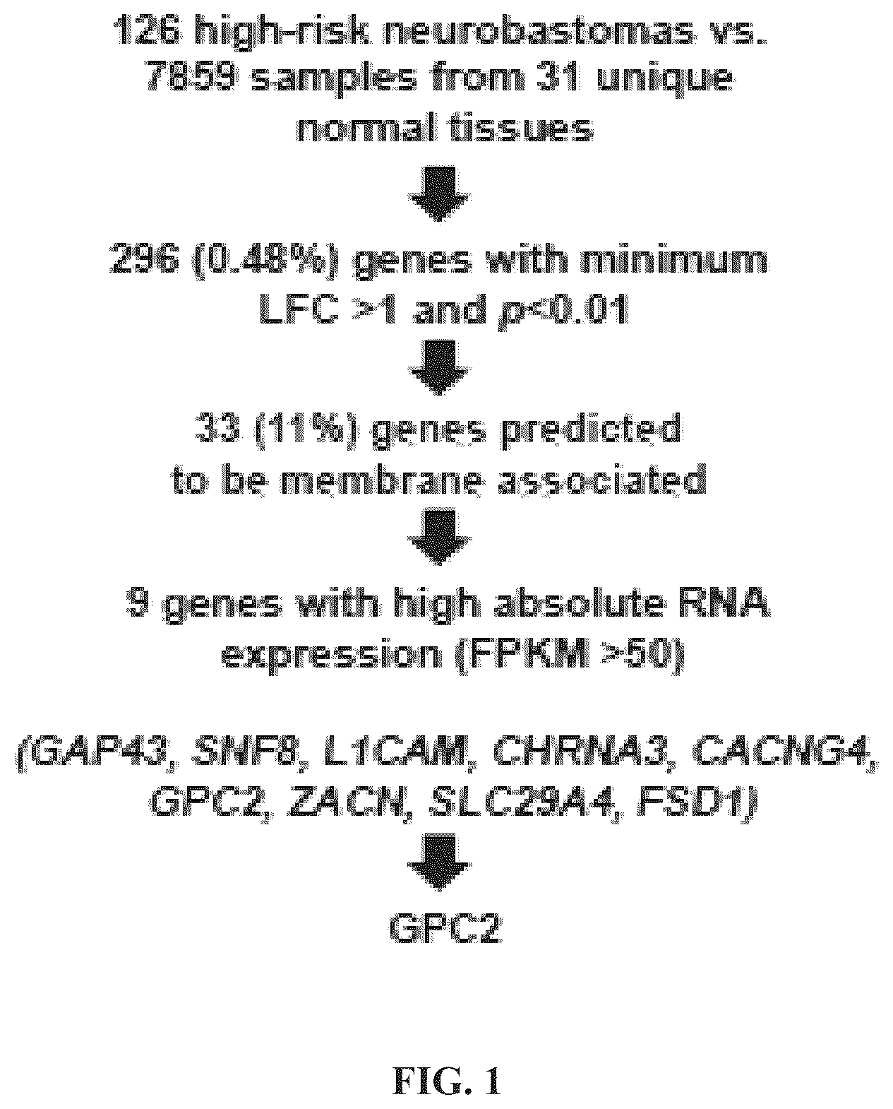 Patent US11814440 — Glypican 2 as a cancer marker and therapeutic target — Figure 1