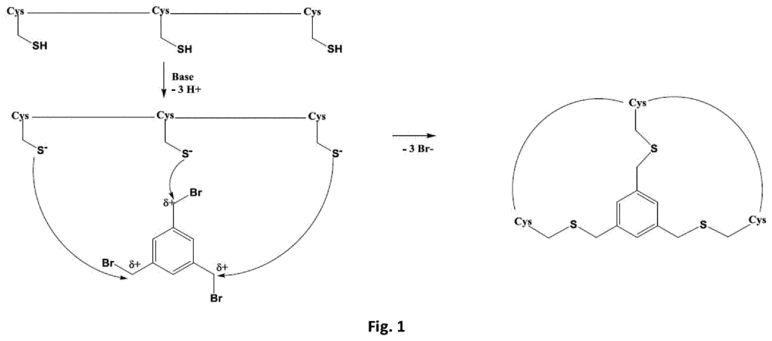 Patent US11814447 — Peptide ligands for binding to EphA2 — Figure 1