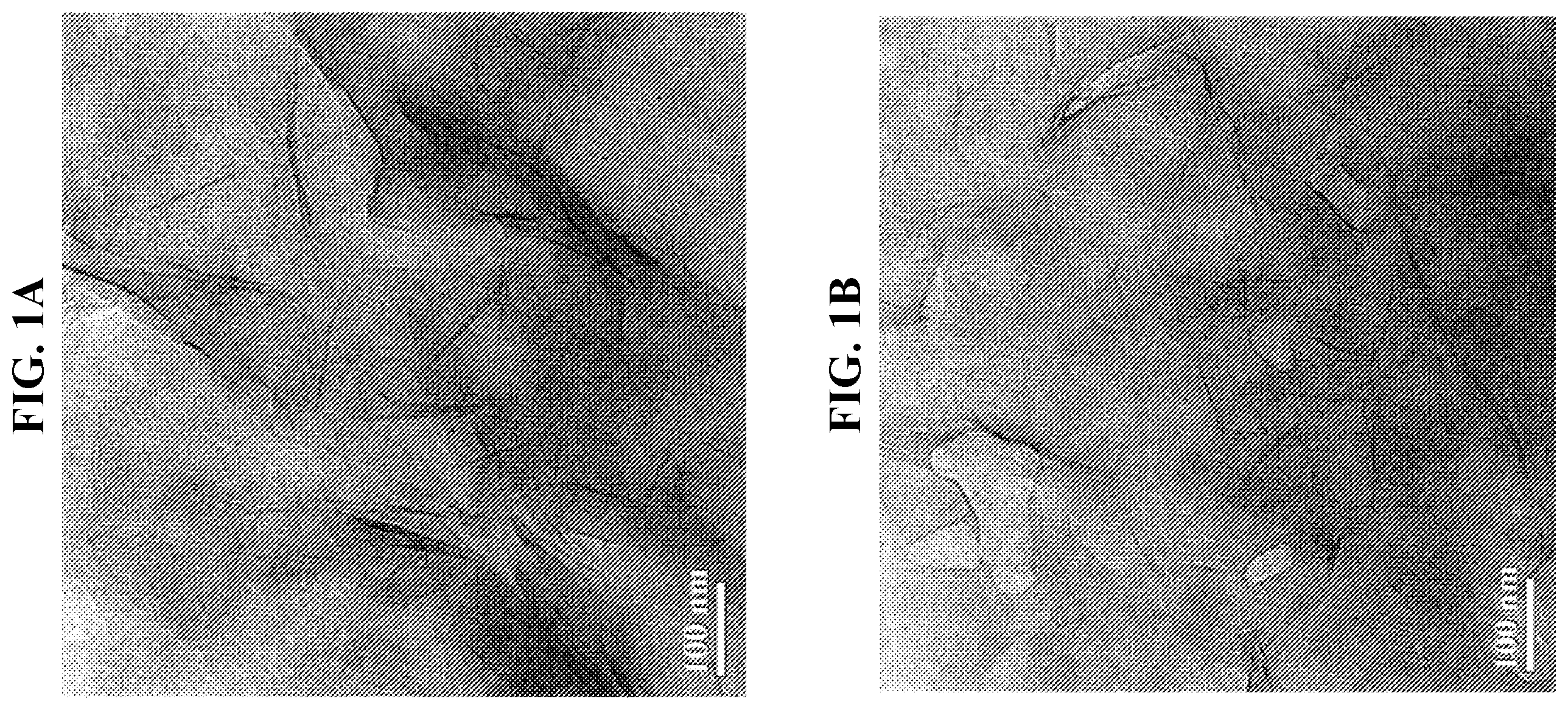 Patent US11814535 — Clay-polyacrylate composites suspension via in situ polymerization — Figure 1