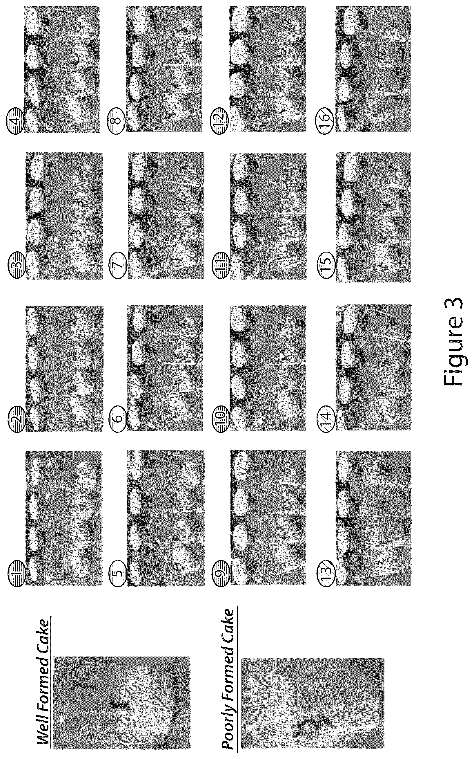 Patent US11814615 Figure 3 – Methods and compositions for preserving bacteria
