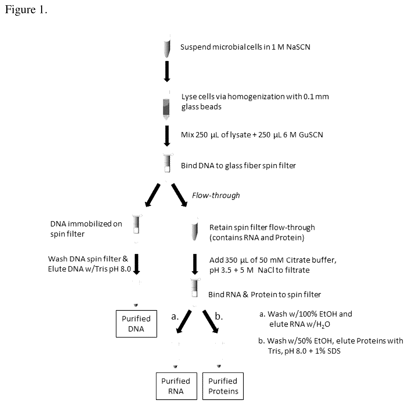 Patent US11814618 — Methods for co-isolation of nucleic acids and proteins — Figure 1