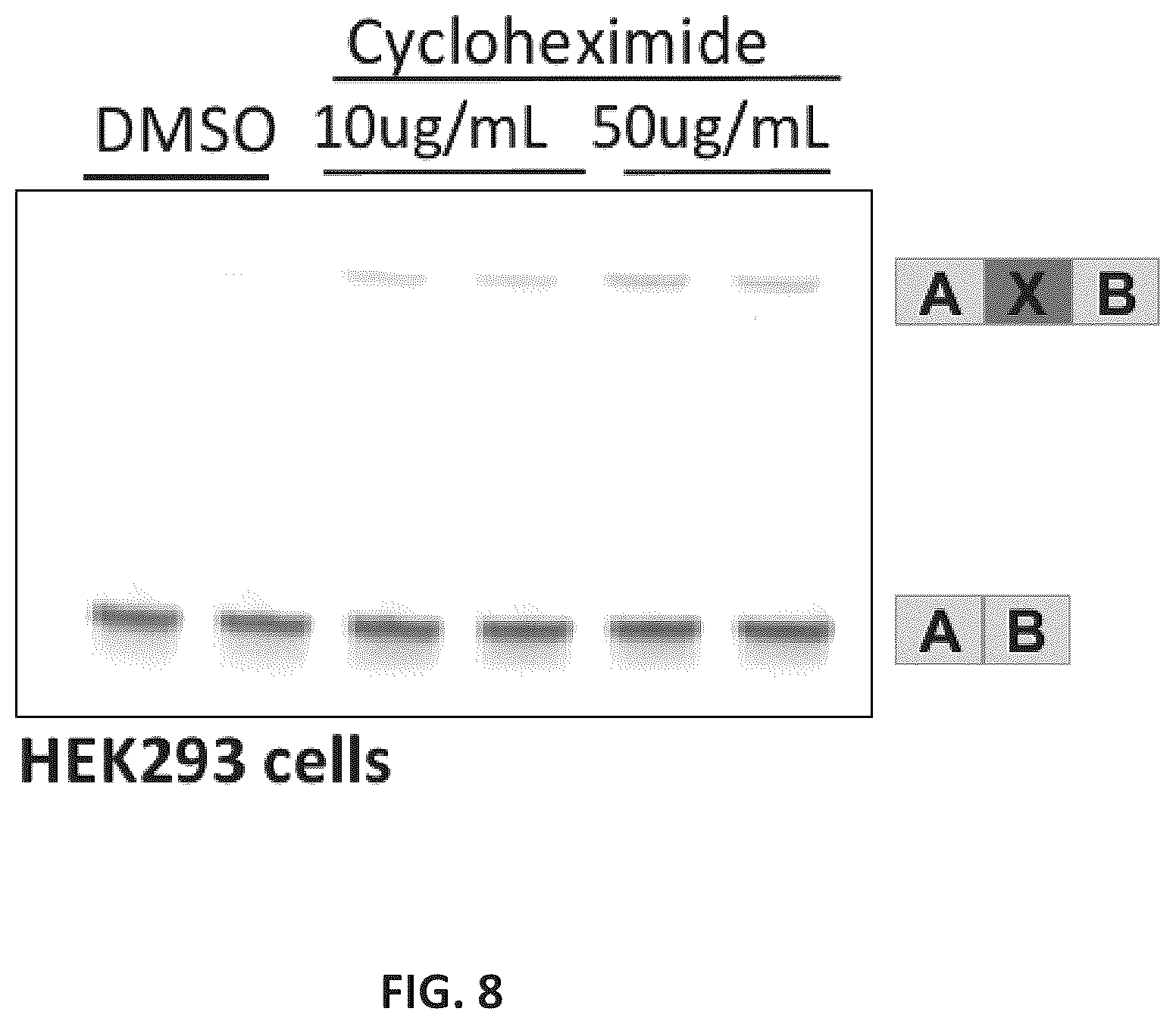 Patent US11814622 Figure 9 – OPA1 antisense oligomers for treatment of conditions and diseases