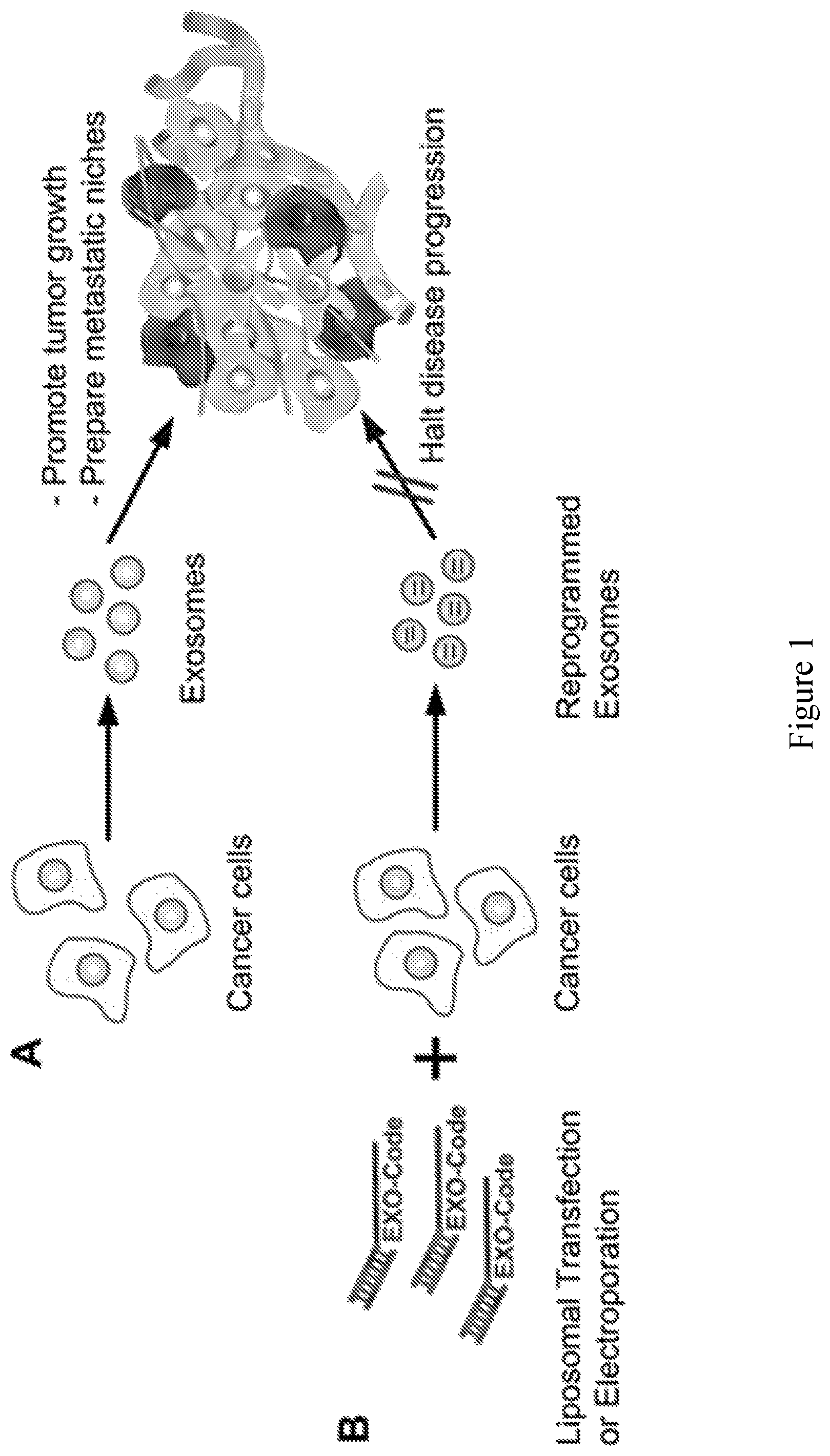 Patent US11814626 — Compositions and methods for loading extracellular vesicles with chemical and biological agents/molecules — Figure 1