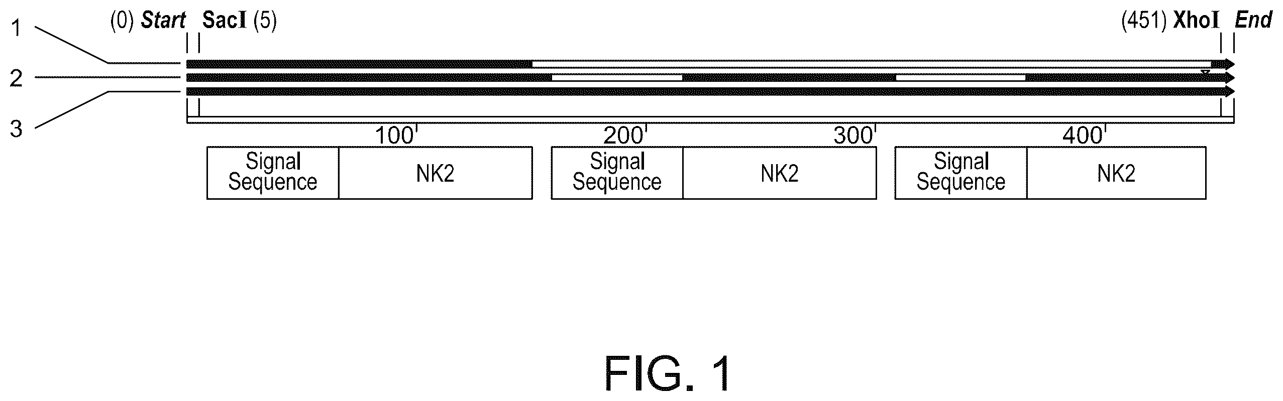 Patent US11814628 — Composition and method of an orally administered antimicrobial peptide vectored in a bacterial expression vehicle — Figure 1