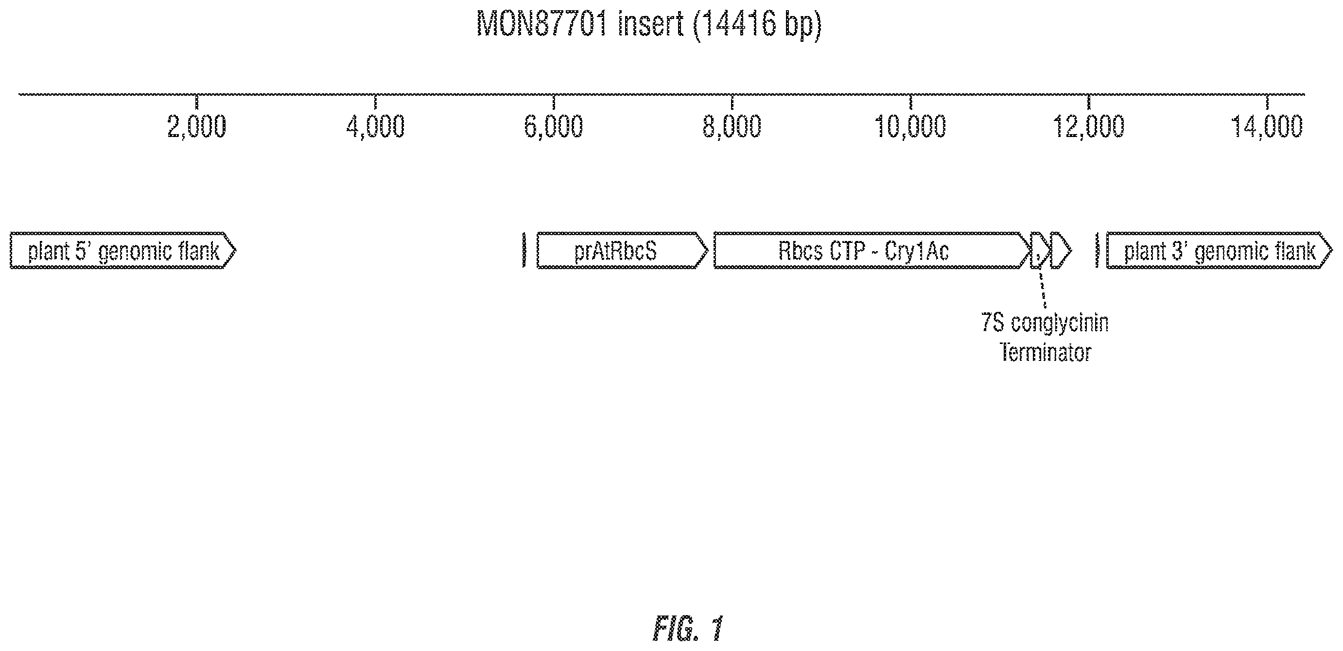 Patent US11814632 — Modified excisable MON87701 soybean transgenic insect resistance locus — Figure 1