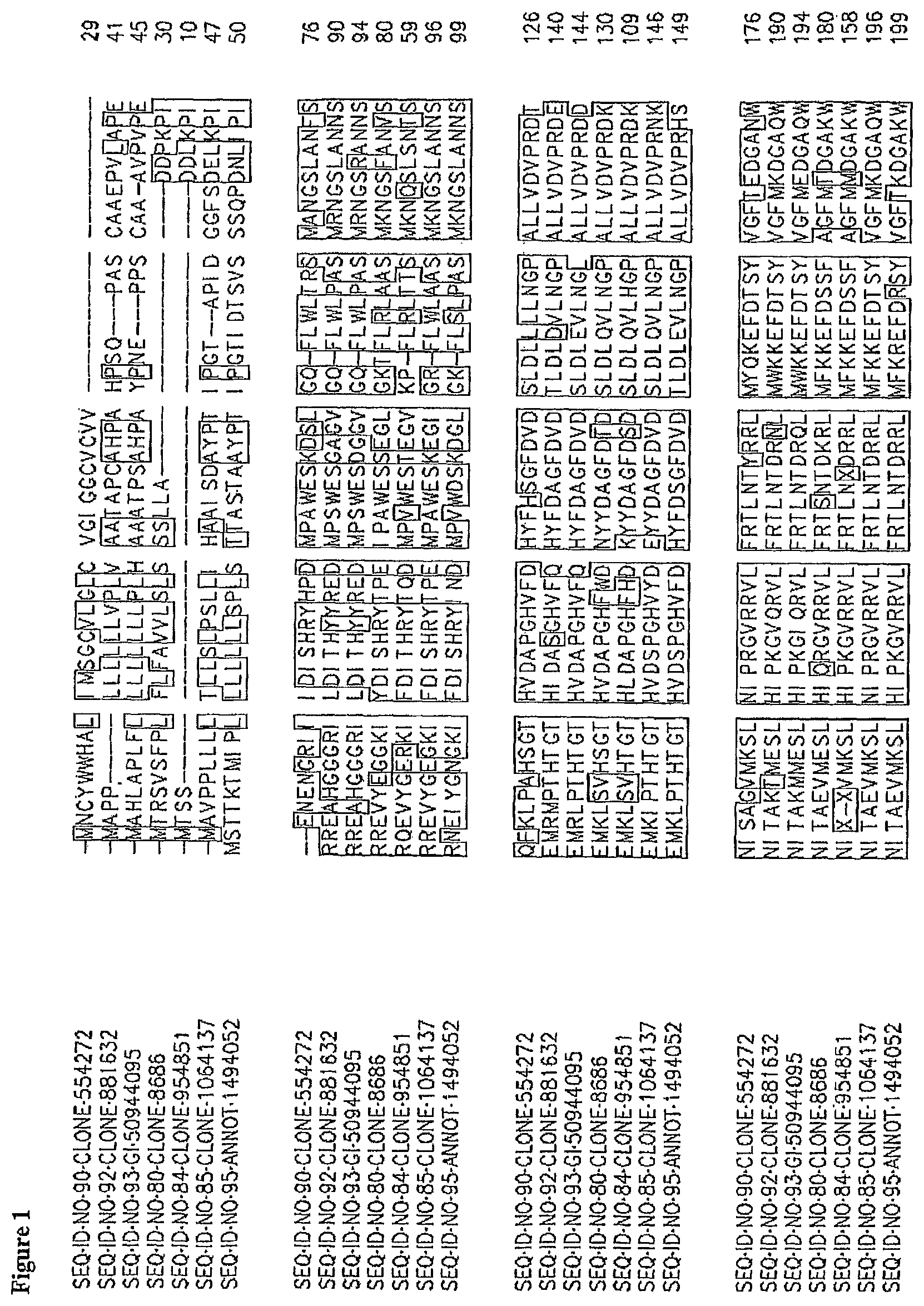 Patent US11814636 — Nucleotide sequences and corresponding polypeptides conferring modulated growth rate and biomass in plants grown in saline conditions — Figure 1