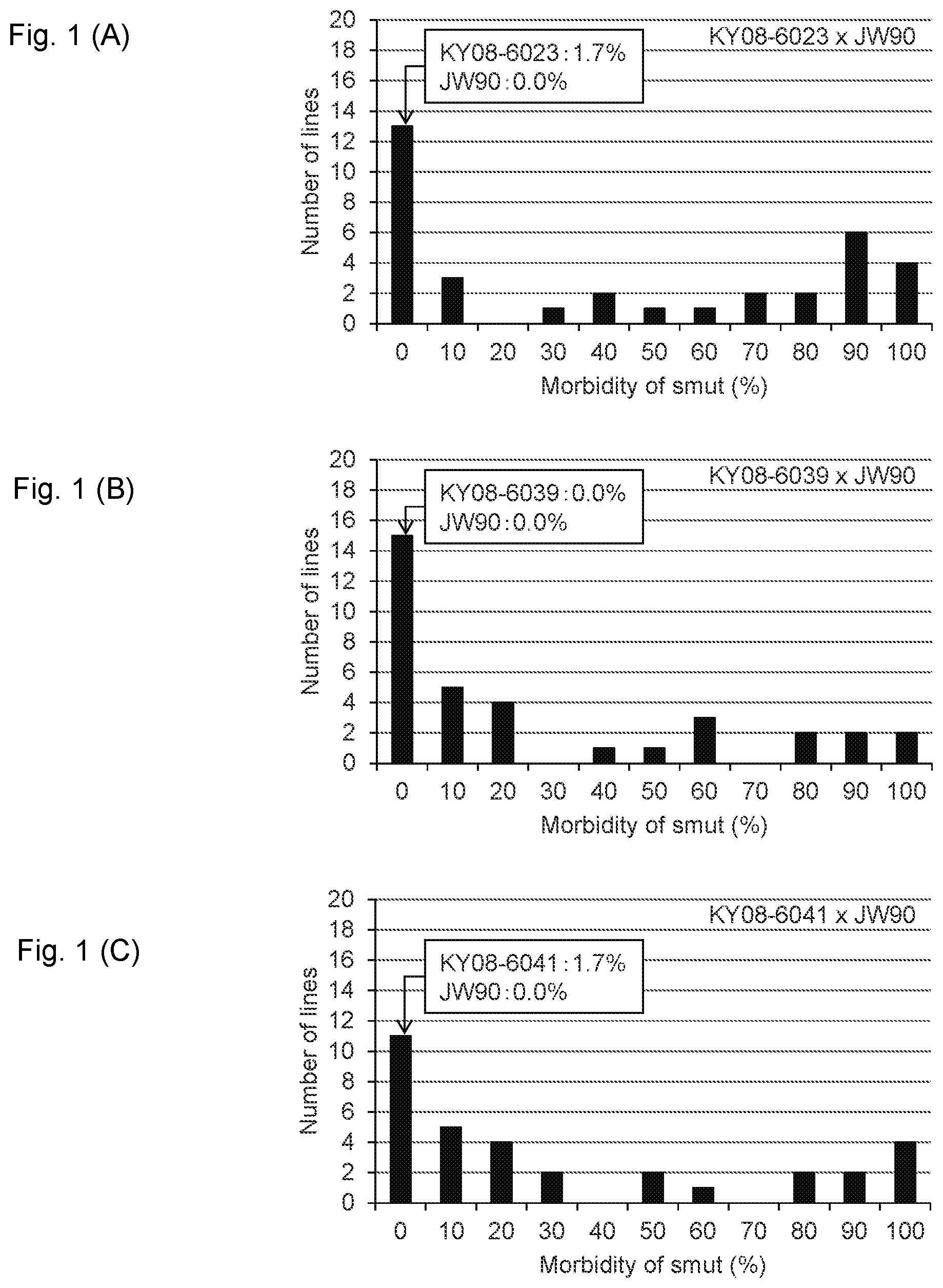 Patent US11814638 Figure 1 – Marker associated with smut resistance in plant belonging to genus Saccharum and use thereof