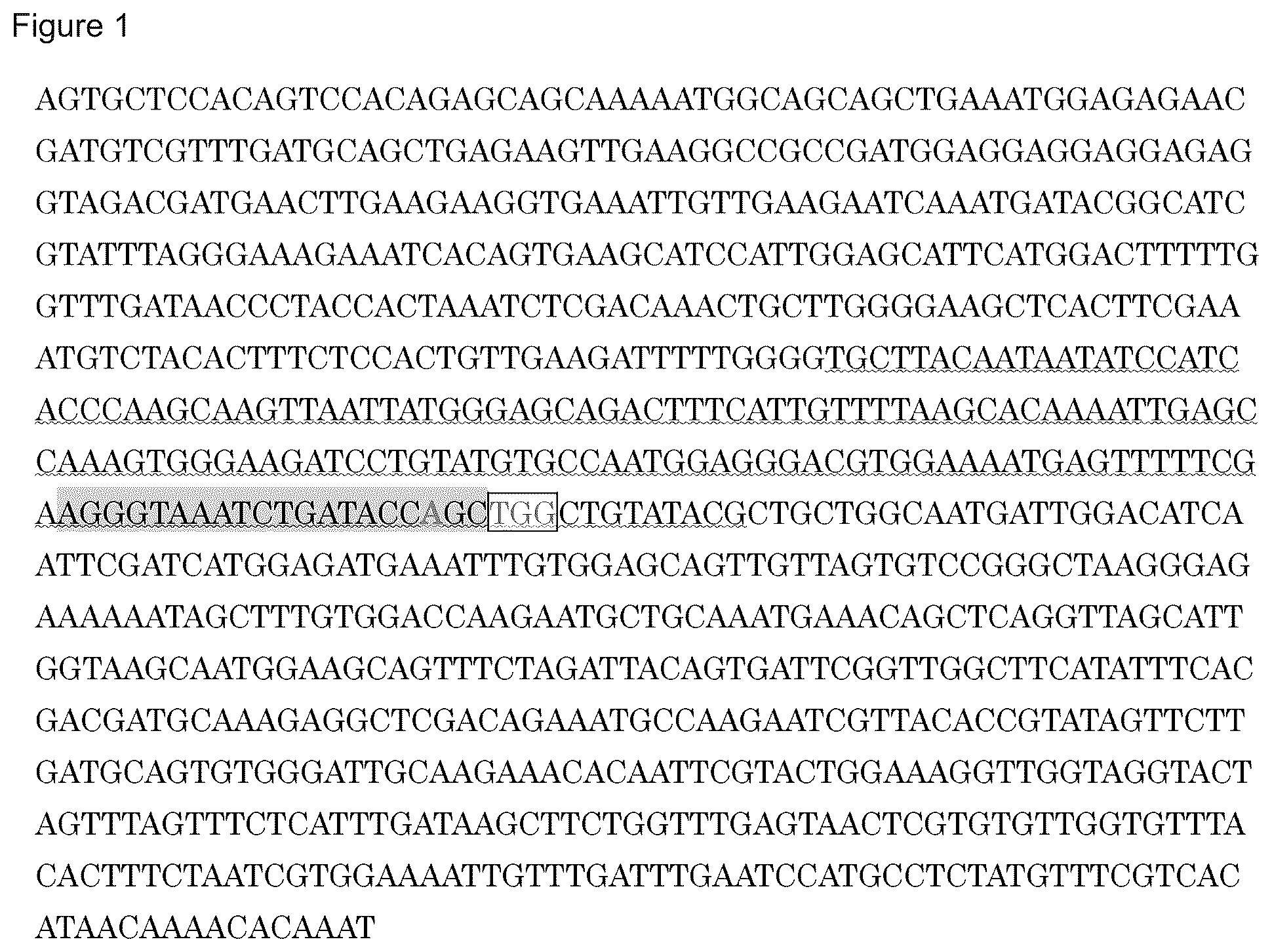Patent US11814639 — Virus-resistant plant and method for producing the same — Figure 1
