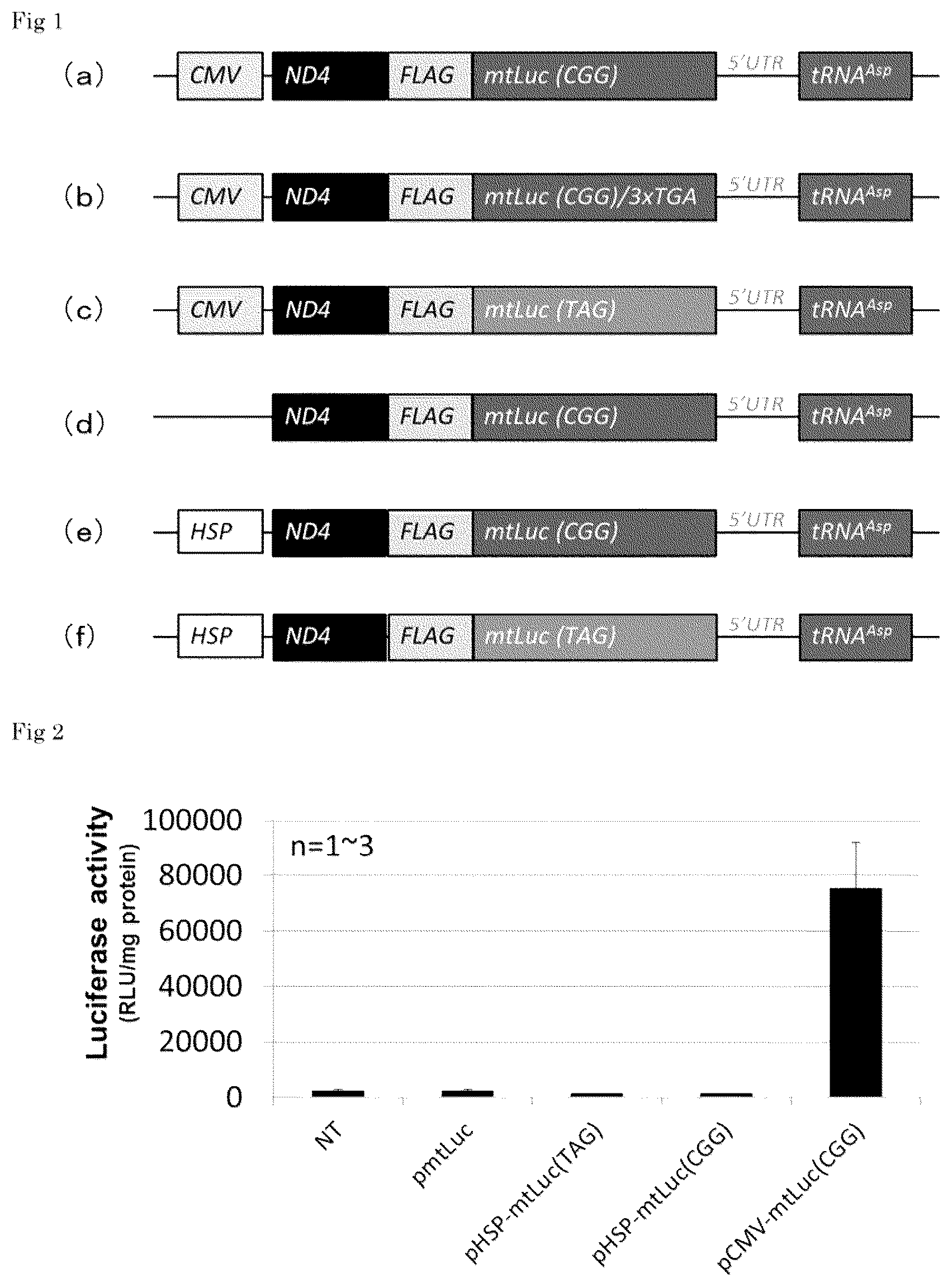 Patent US11814640 — Recombinant expression vector and lipid membrane structure having said vector encapsulated therein — Figure 1