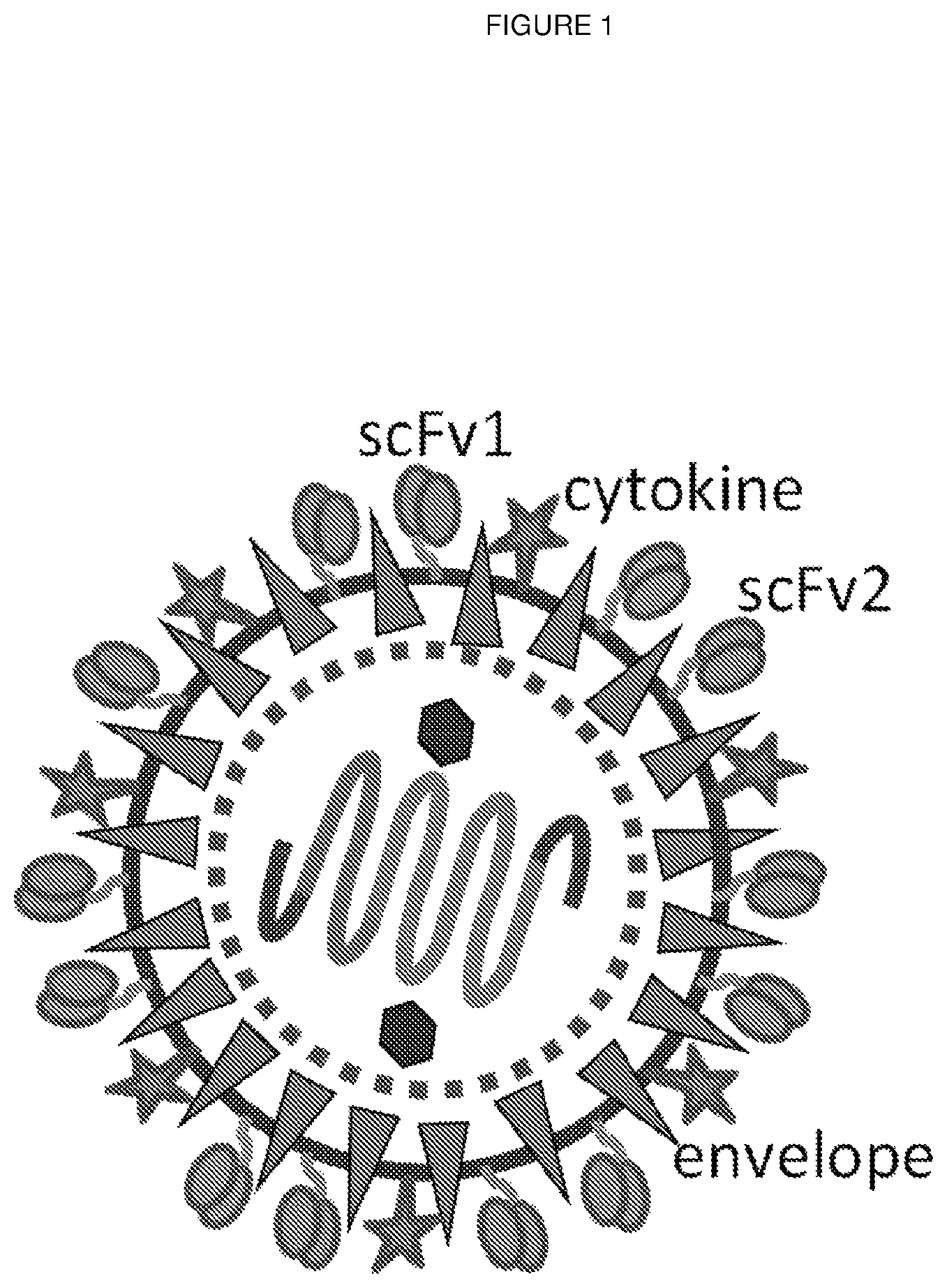 Patent US11814641 — Retroviral and lentiviral vectors — Figure 1