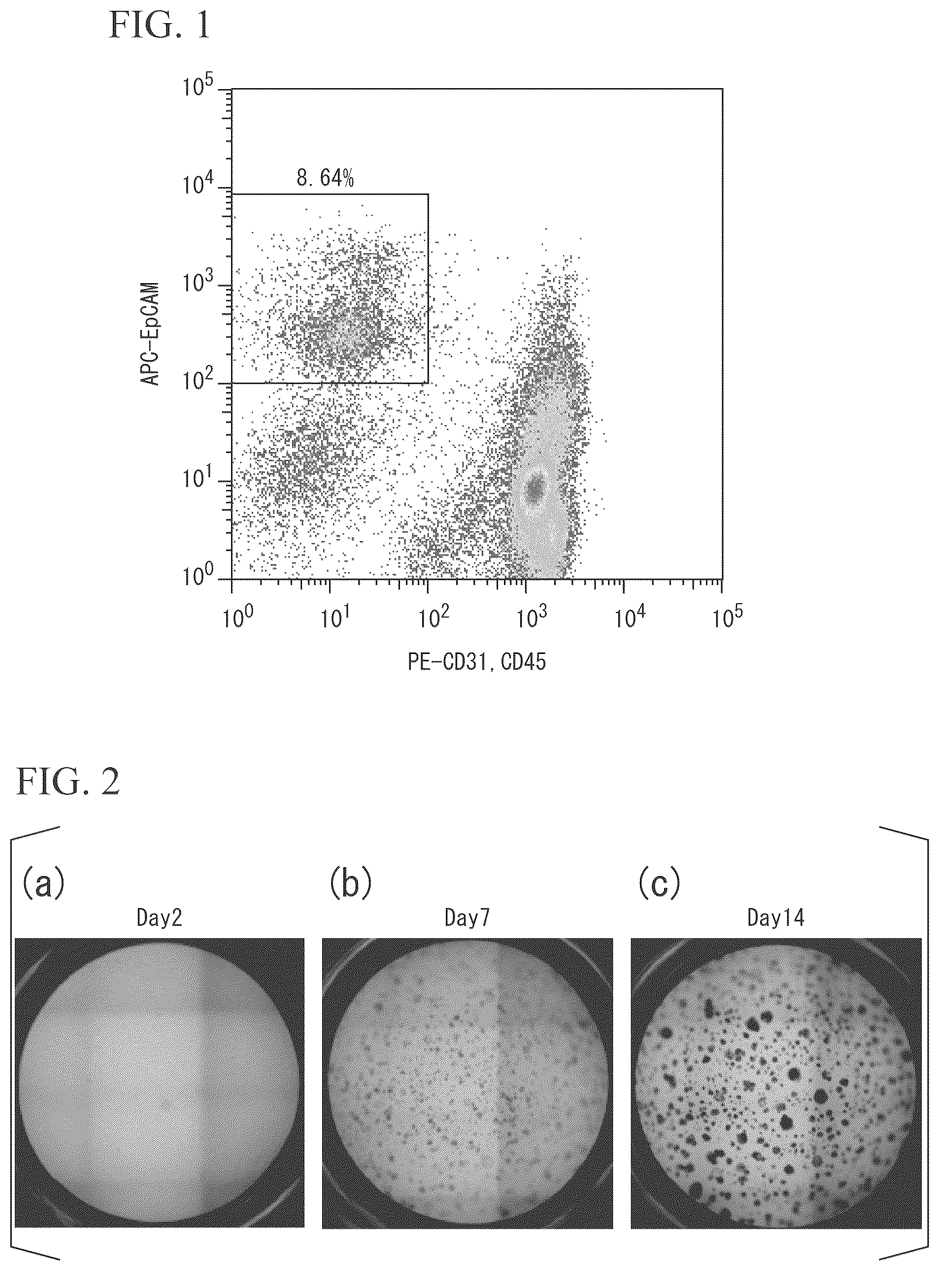 Patent US11814651 — Cell and utilization thereof — Figure 1