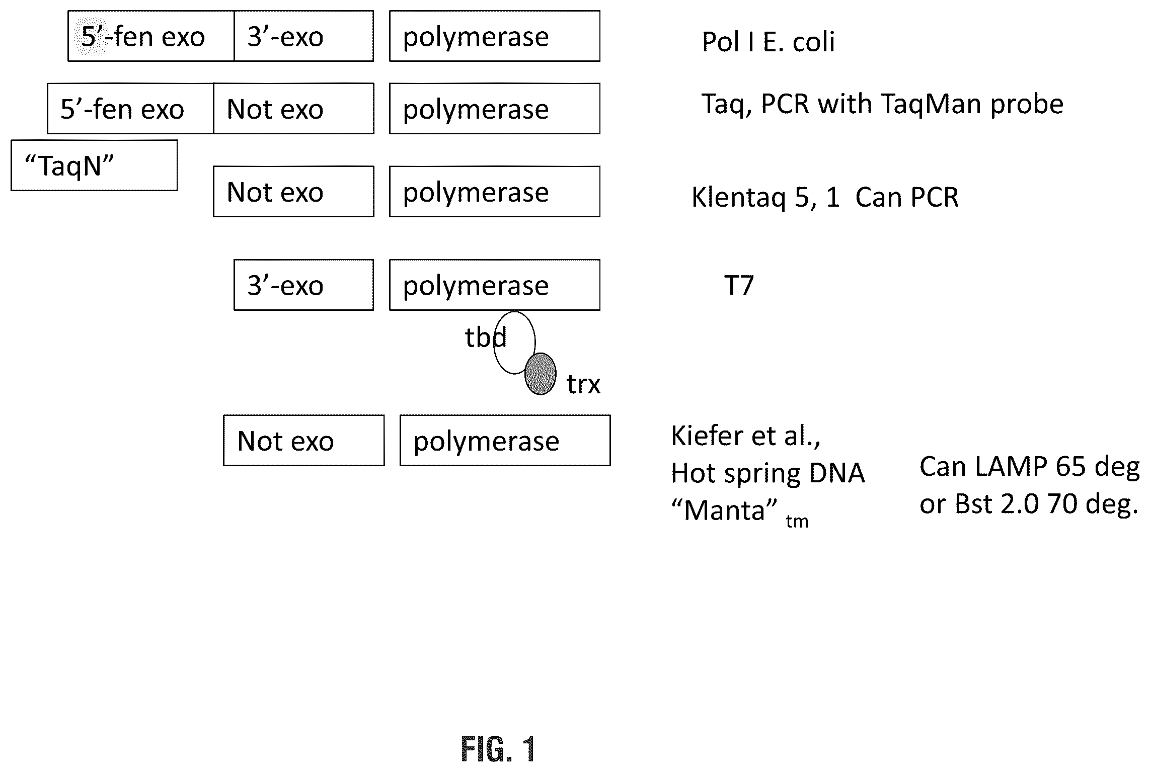 Patent US11814655 — Mutant polymerases and uses thereof — Figure 1