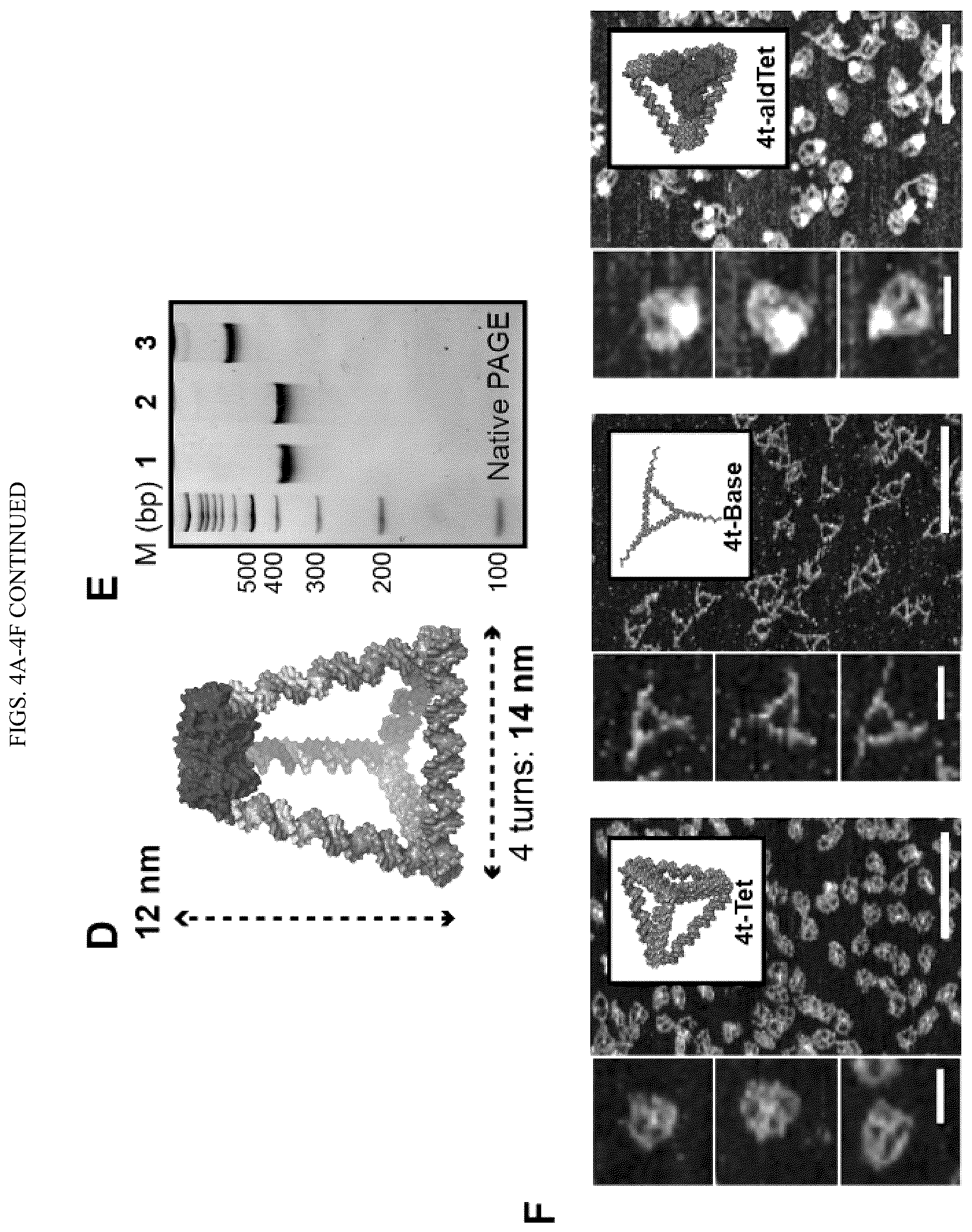 Patent US11814659 Figure 7 – Tunable nanoscale cages from self-assembling DNA and protein building blocks