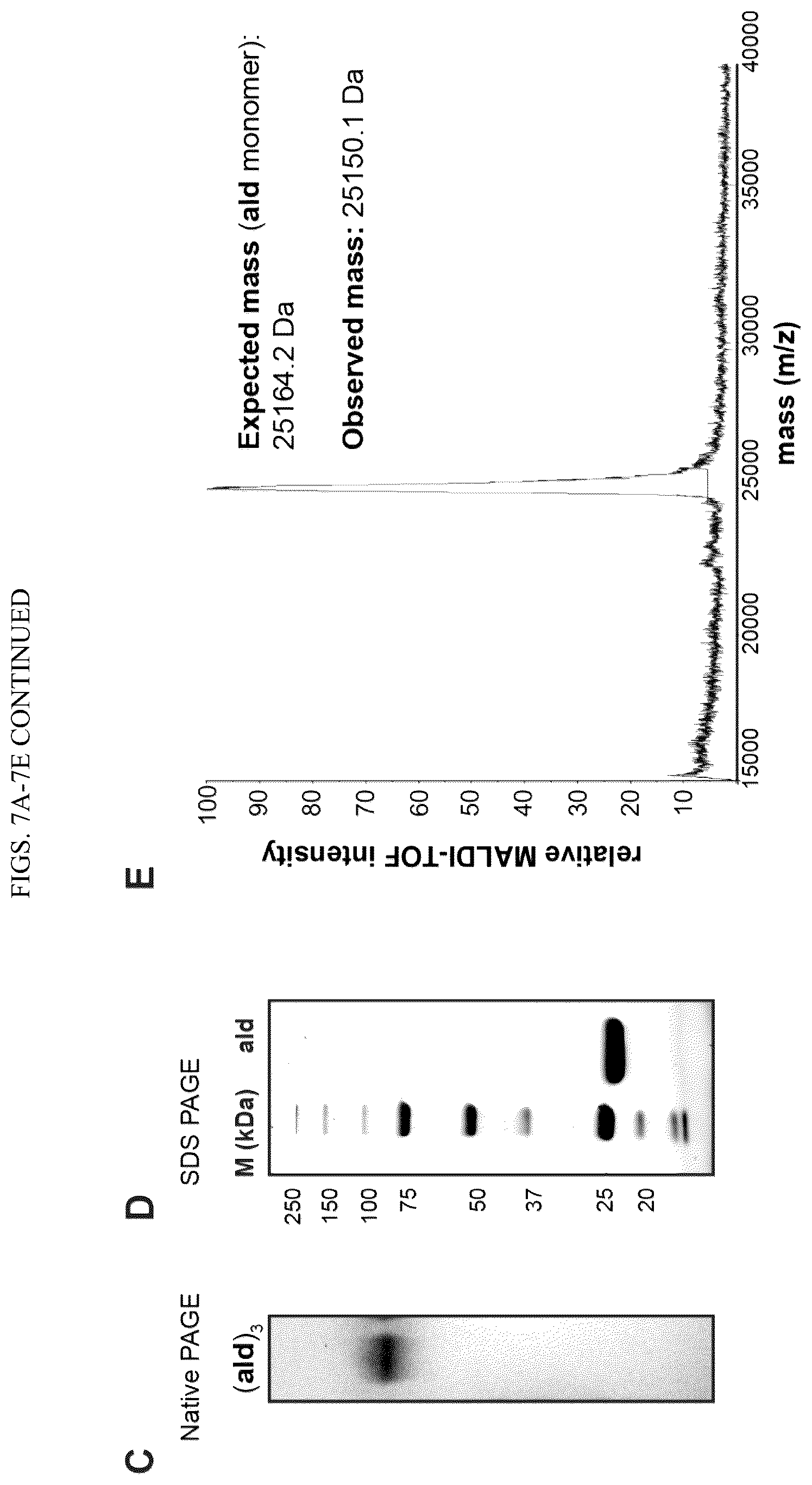 Patent US11814659 Figure 12 – Tunable nanoscale cages from self-assembling DNA and protein building blocks