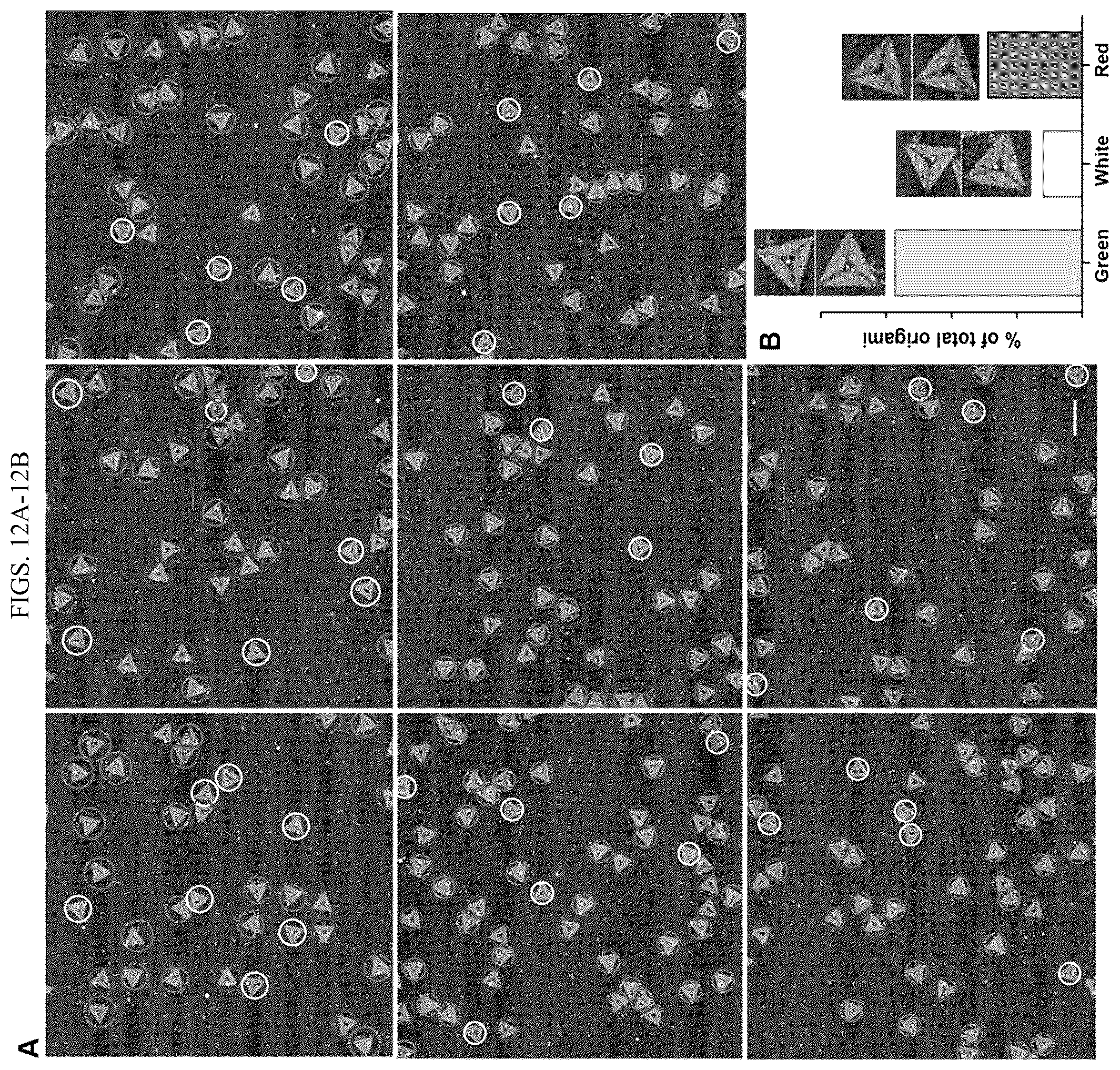 Patent US11814659 Figure 17 – Tunable nanoscale cages from self-assembling DNA and protein building blocks