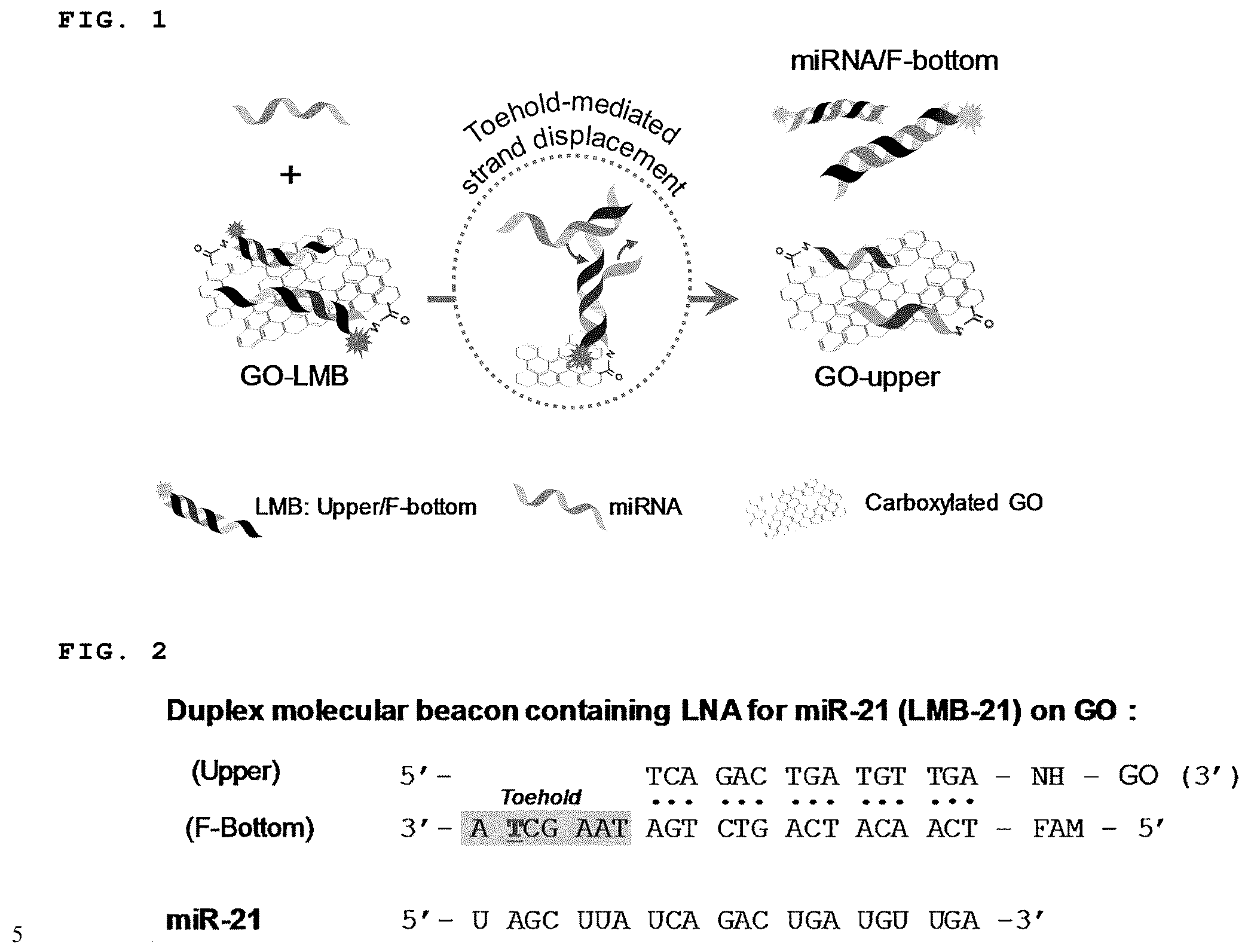 Patent US11814672 — Complex of LNA probe and graphene oxide and nucleic acid detection method using same — Figure 1