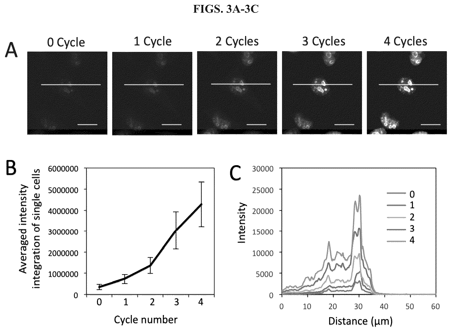Patent US11814677 Figure 3 – Methods and systems for sensitive and multiplexed analysis of biological samples using cleavable fluorescent streptavidin and anti-hapten antibodies
