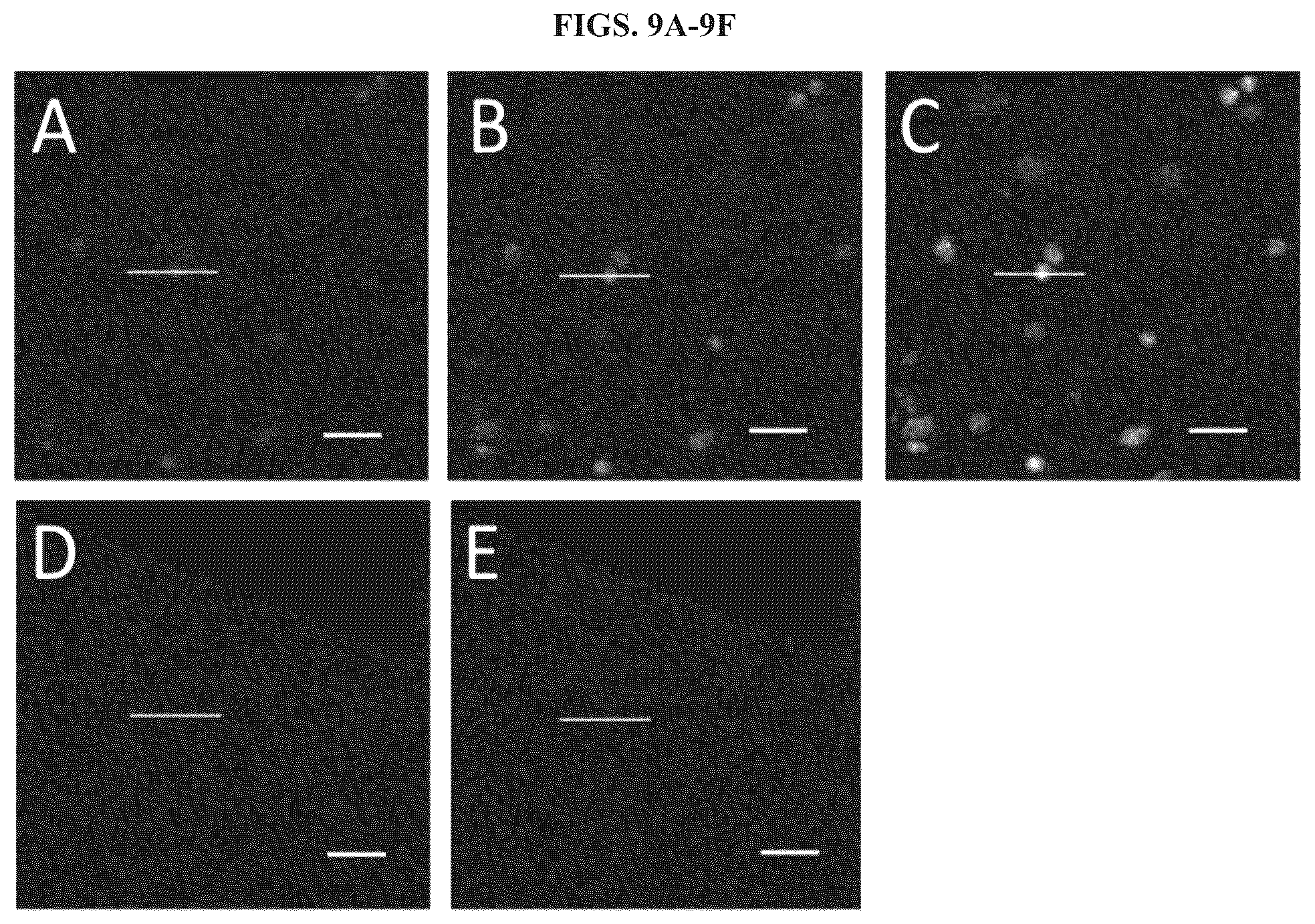 Patent US11814677 Figure 9 – Methods and systems for sensitive and multiplexed analysis of biological samples using cleavable fluorescent streptavidin and anti-hapten antibodies