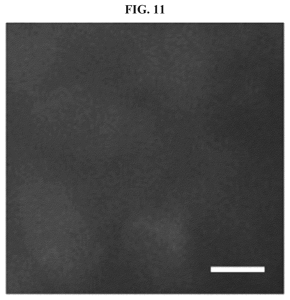 Patent US11814677 Figure 12 – Methods and systems for sensitive and multiplexed analysis of biological samples using cleavable fluorescent streptavidin and anti-hapten antibodies