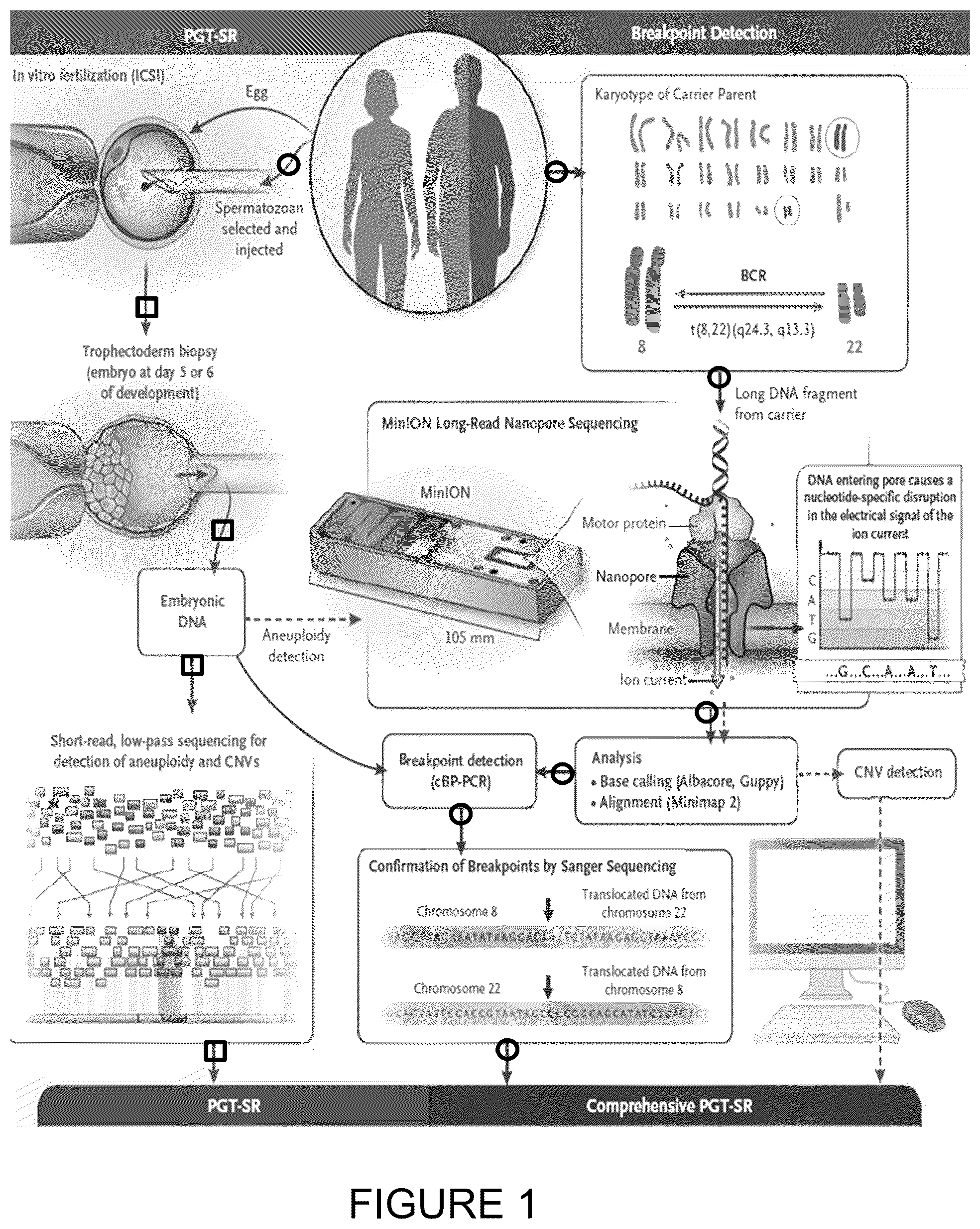 Patent US11814682 — Method for preimplantation genetic screening of embryos for detection of structural rearrangements — Figure 1