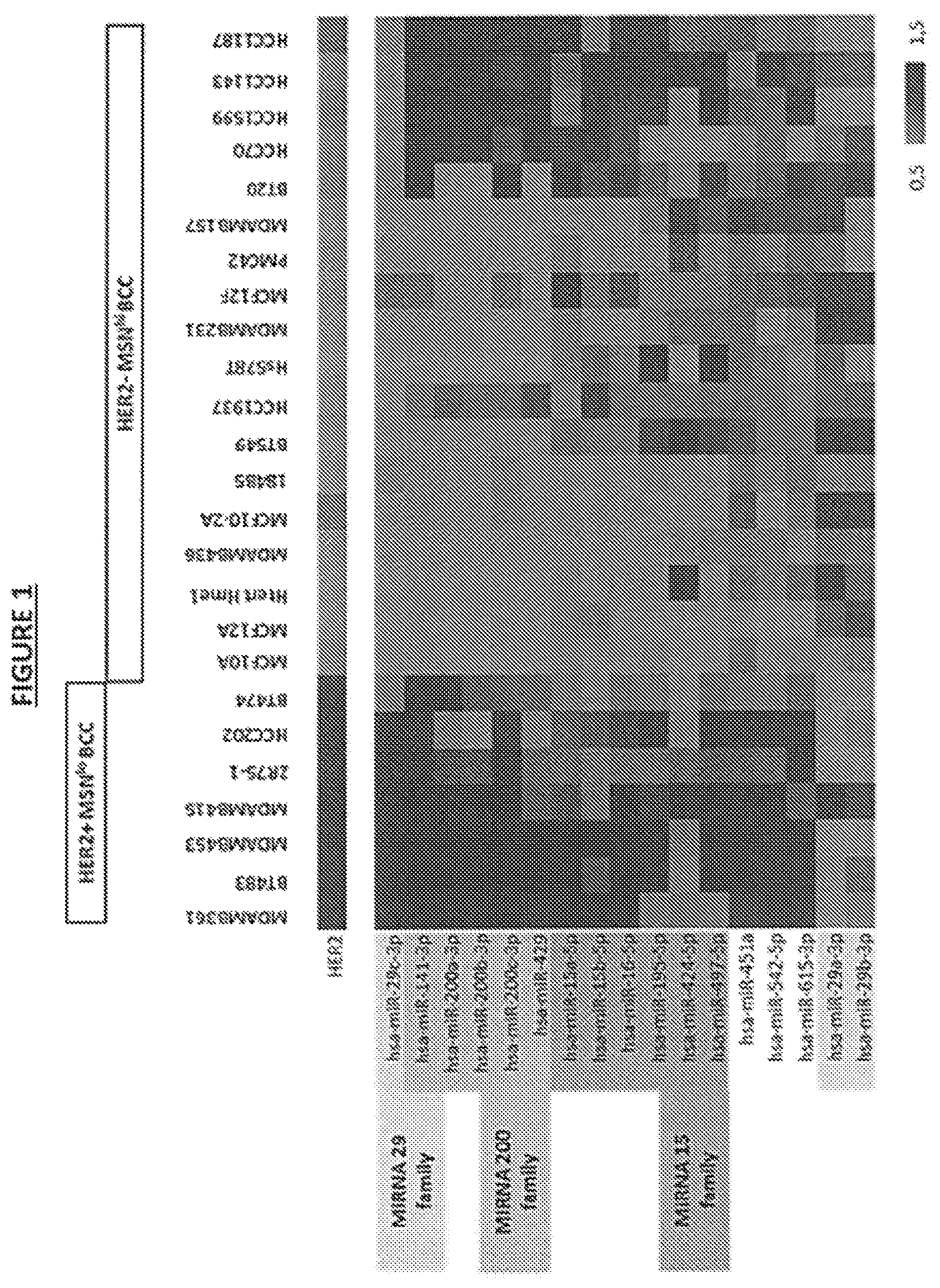 Patent US11814685 — Diagnosis and/or prognosis of HER2-dependent cancer using one or more miRNA as a biomarker — Figure 1