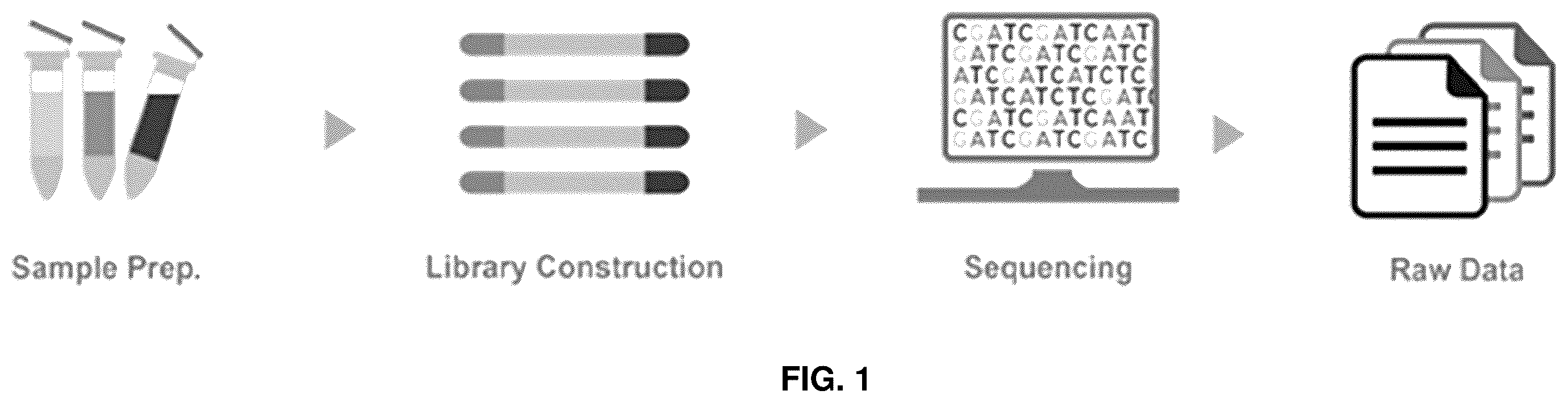 Patent US11814690 — Probe for detecting hepatitis b virus and use thereof — Figure 1