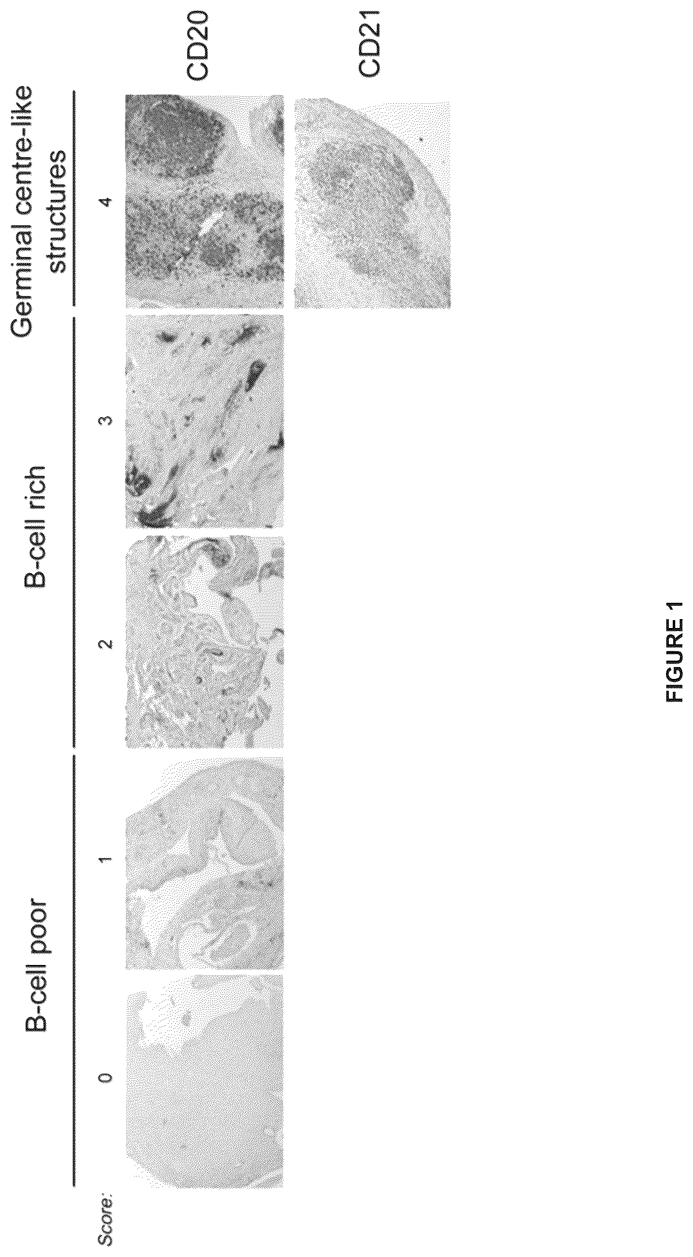 Patent US11815434 Figure 1 – Method for treating rheumatoid arthritis