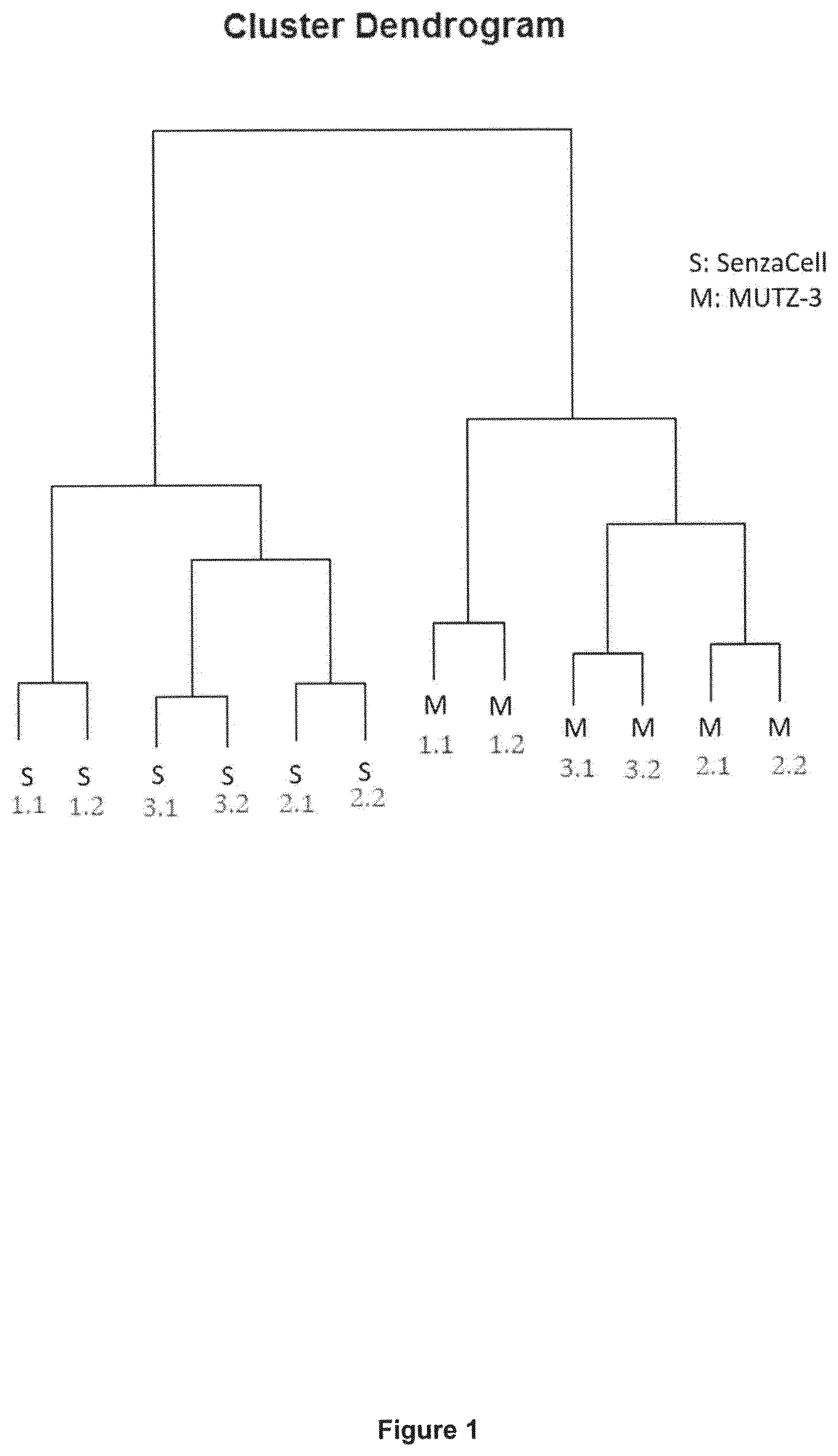 Patent US11815509 — Cell line and uses thereof — Figure 1
