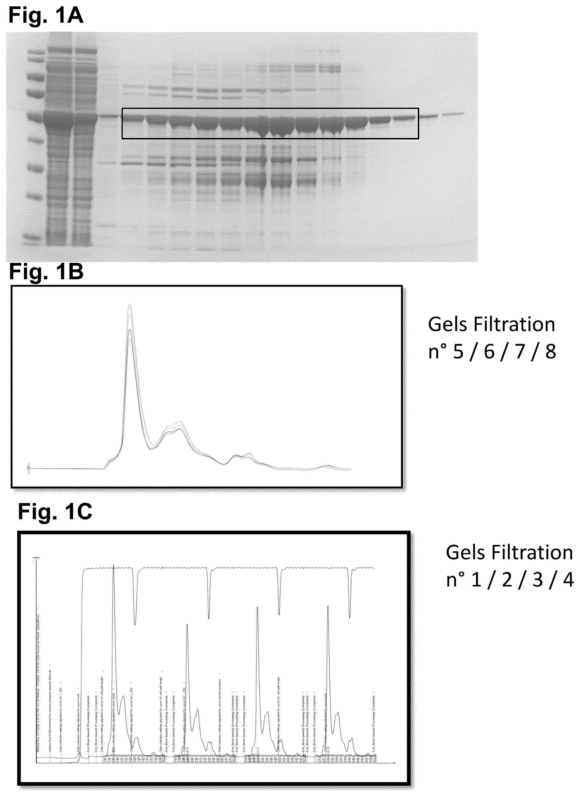 Patent US11815513 — Severe acute respiratory syndrome (SARS)-associated coronavirus diagnostics — Figure 1