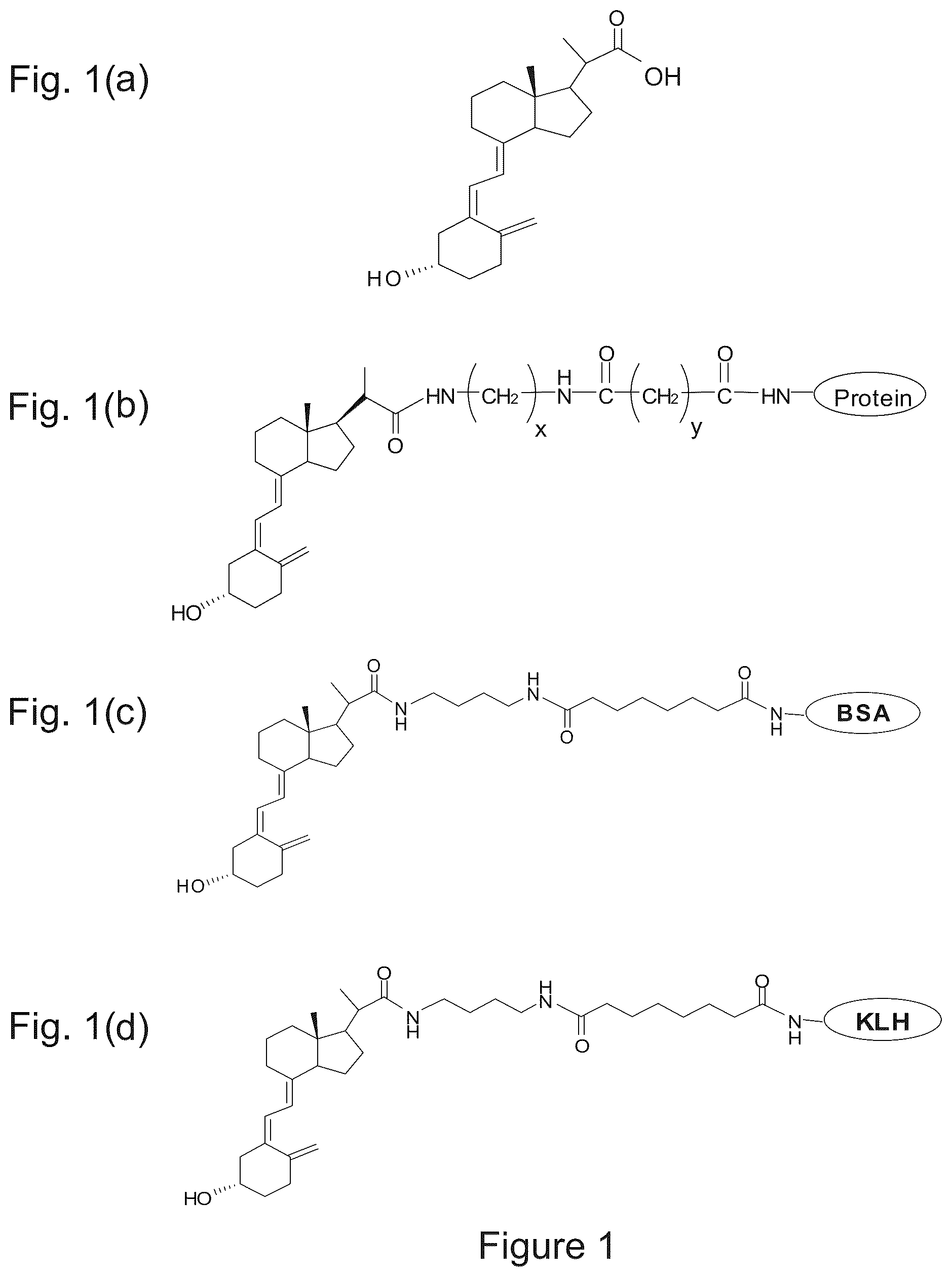 Patent US11815517 — Antibodies to 25-hydroxyvitamin D2 and D3 — Figure 1
