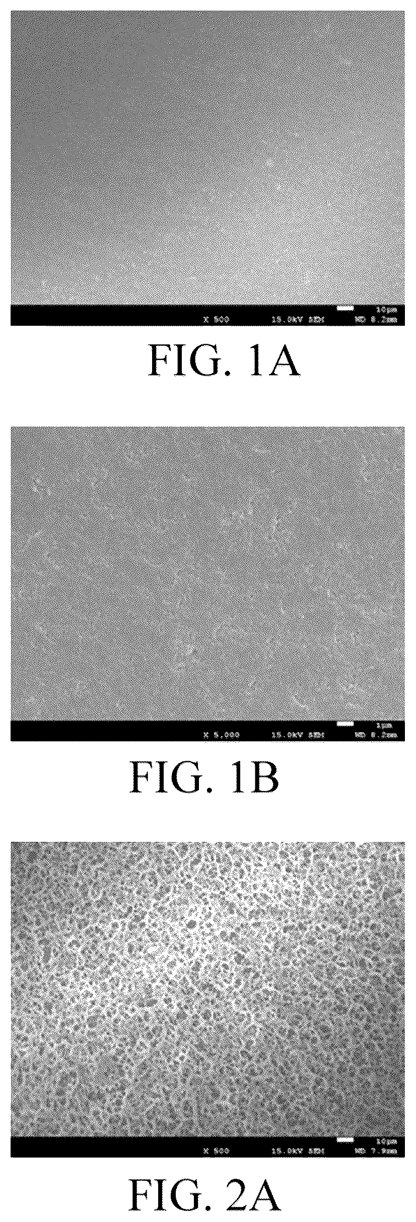Patent US11824225 — Separator including substrate, hydrophilic blocking layer, and polar polymer bonding with nodal structure, and method of preparing the same — Figure 1