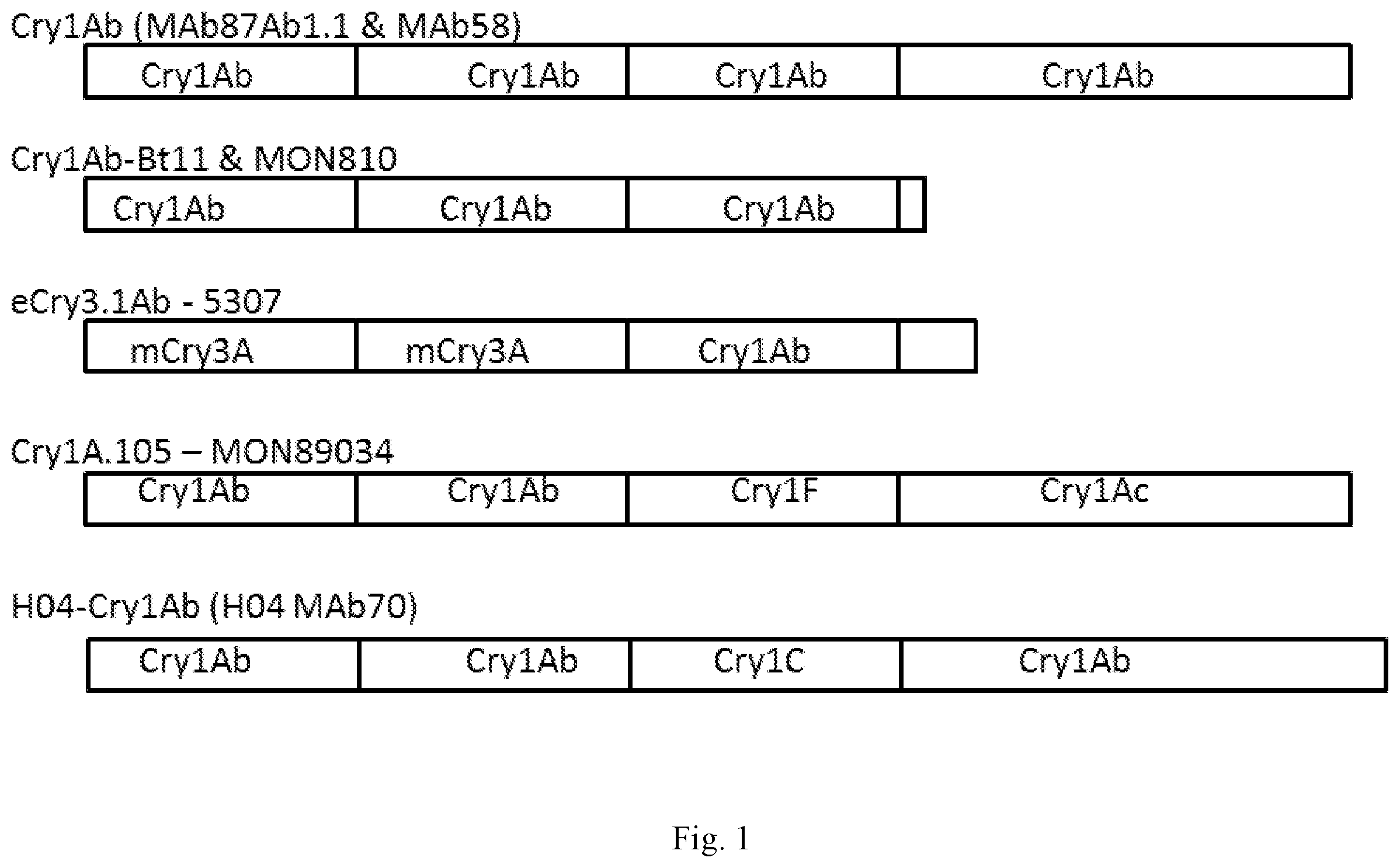 Patent US11841366 — Compositions and methods for detection of wild type cry protein and a hybrid cry protein — Figure 1