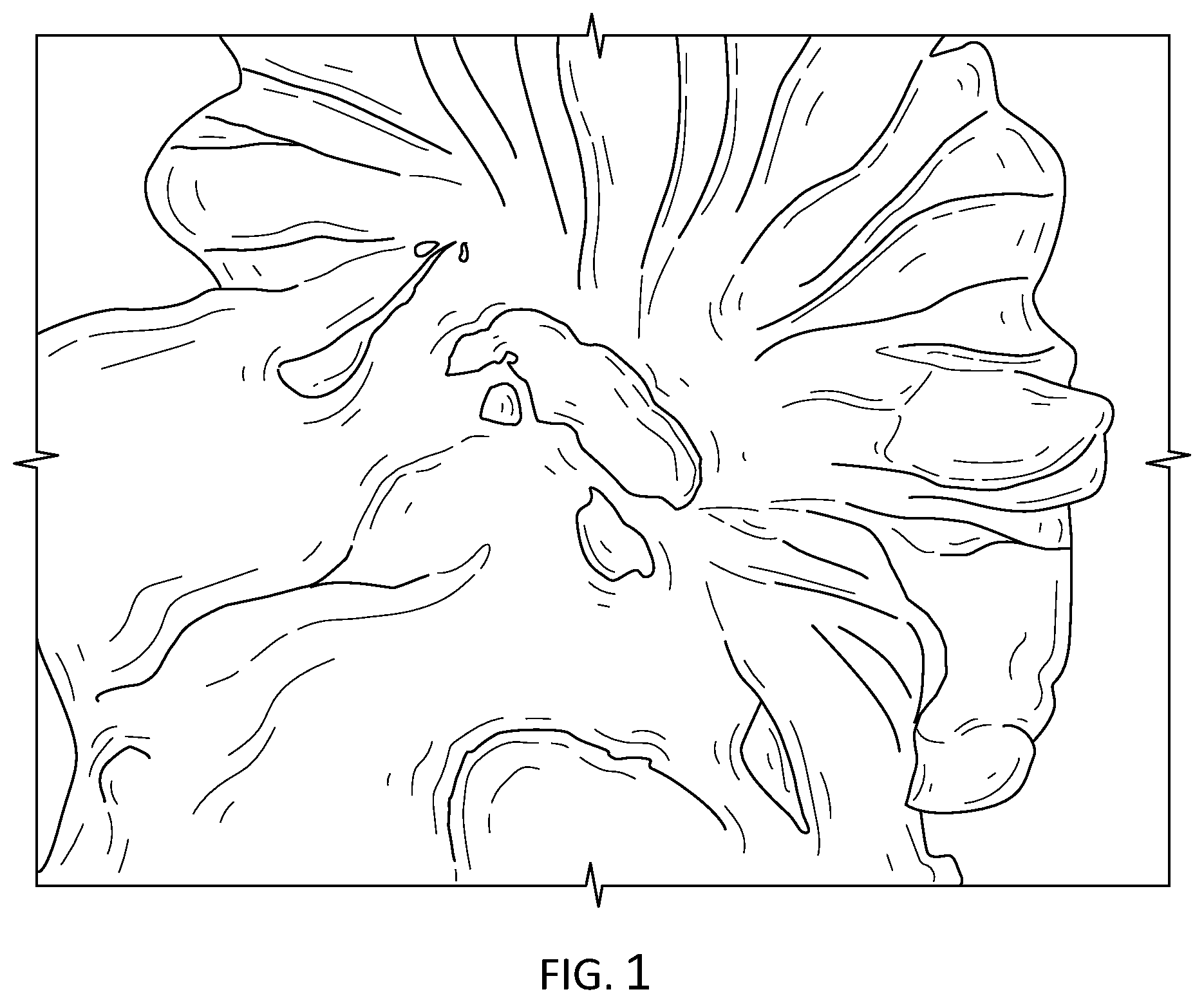 Patent US11847932 — Modified animal organs for use in surgical simulators — Figure 1