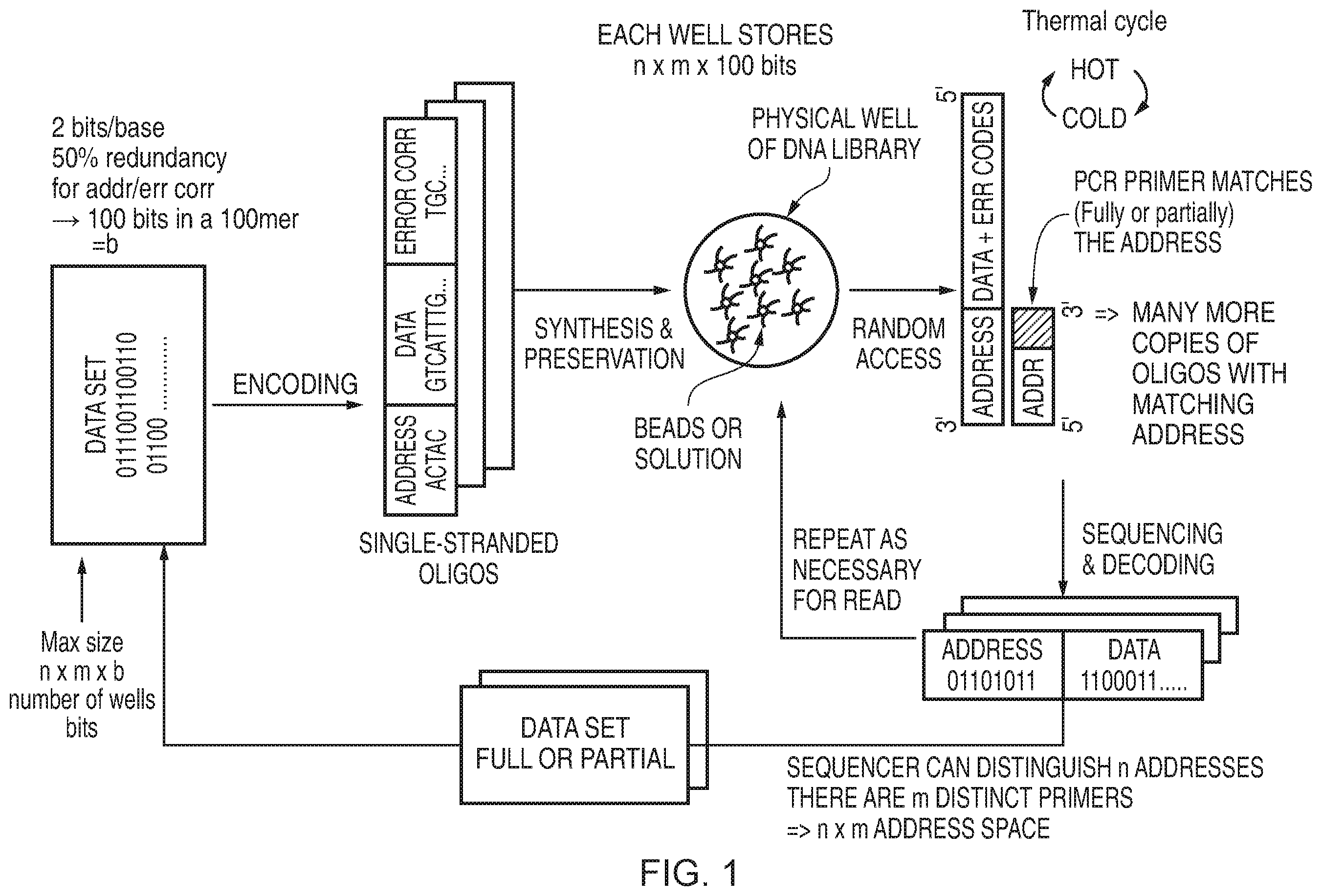Patent US11854668 — Accessing data storage provided using double-stranded nucleic acid molecules — Figure 1
